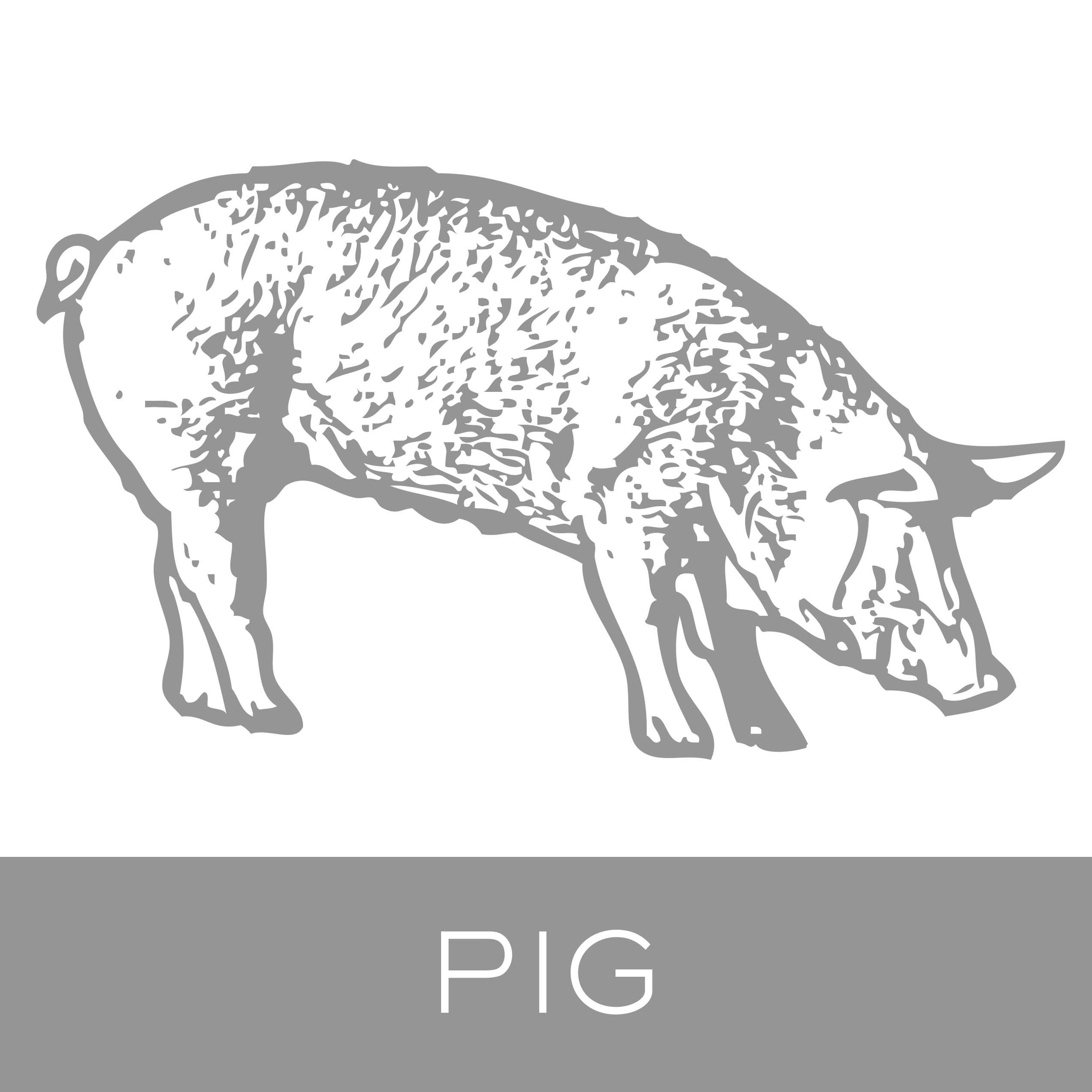 pig.jpg