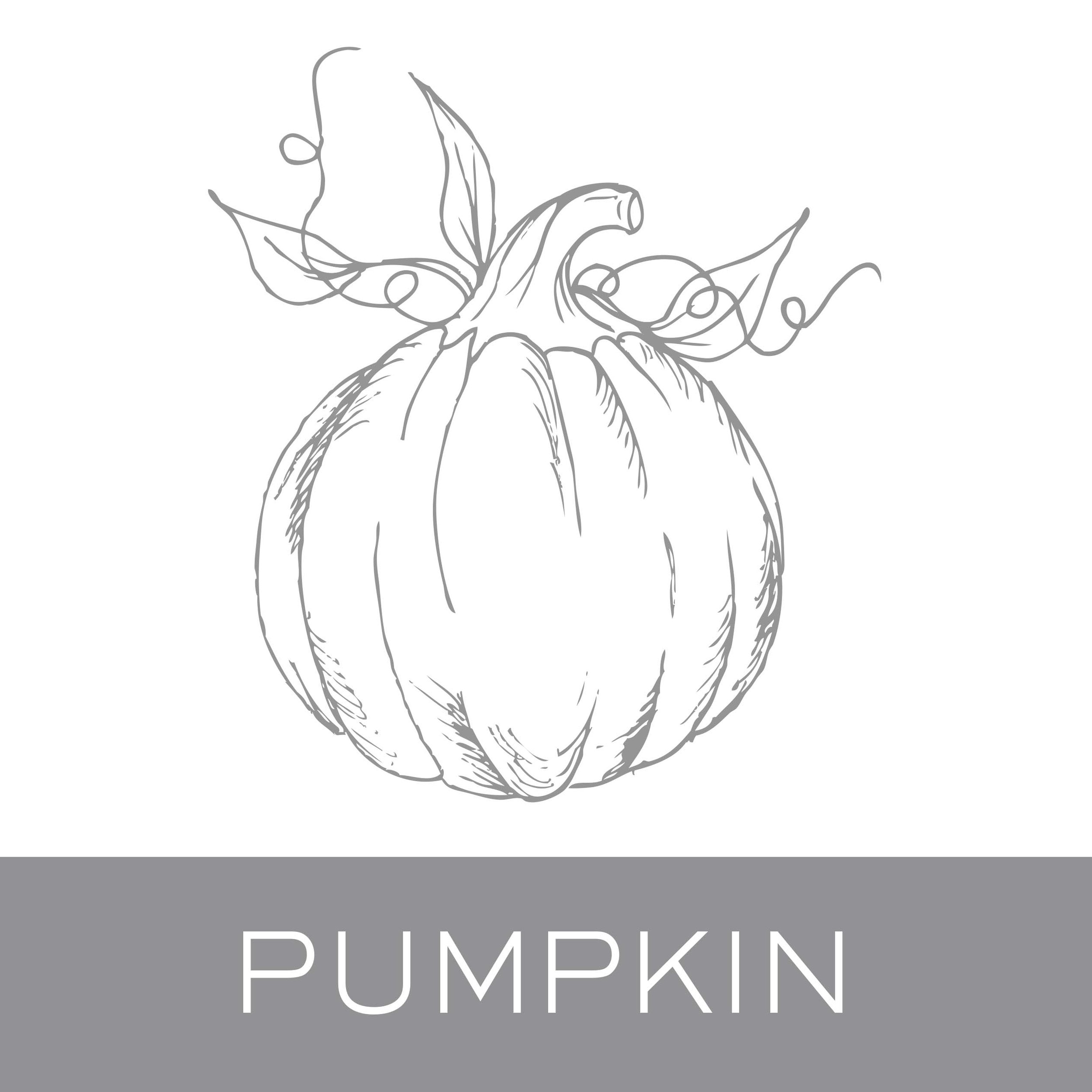 pumpkin.jpg