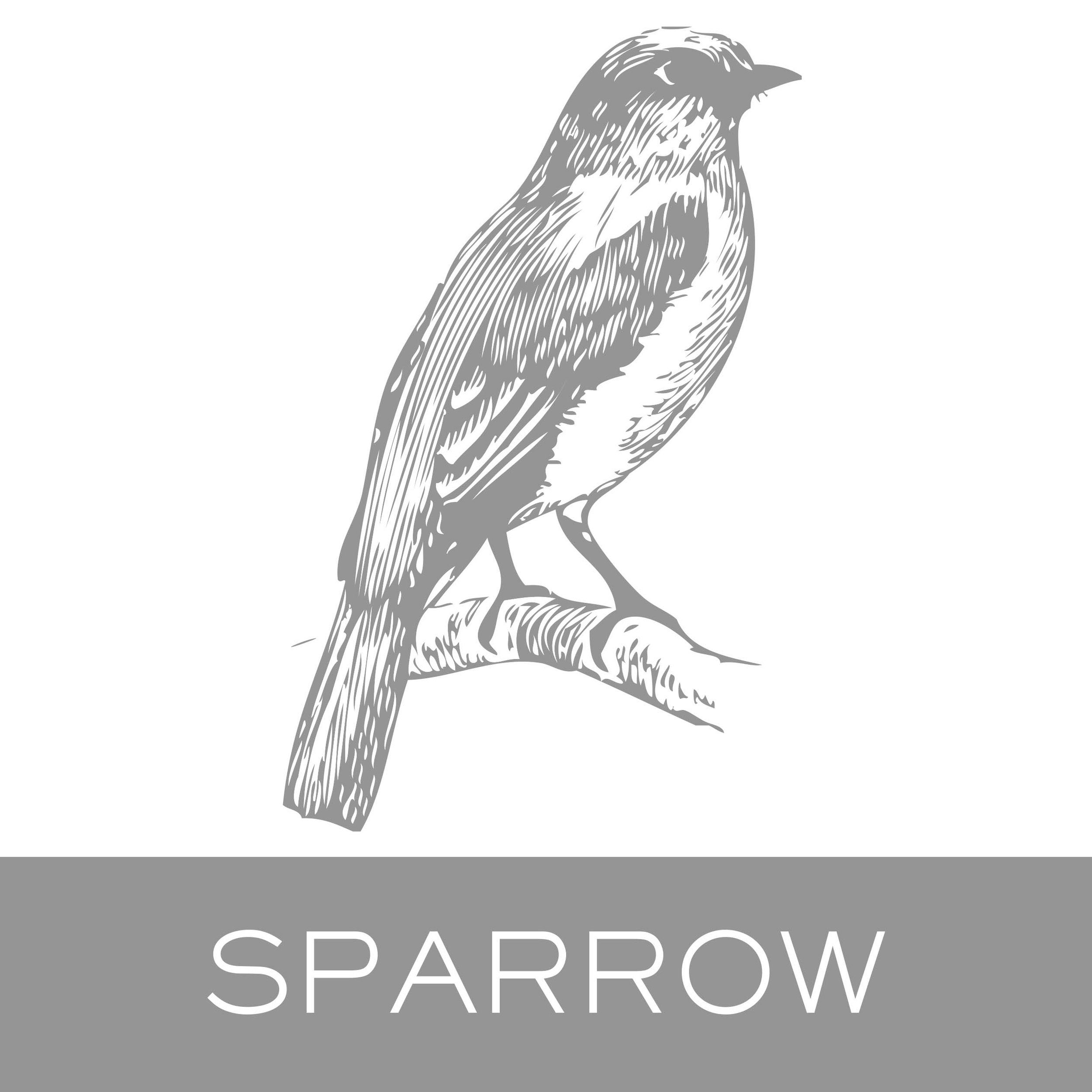 sparrow.jpg