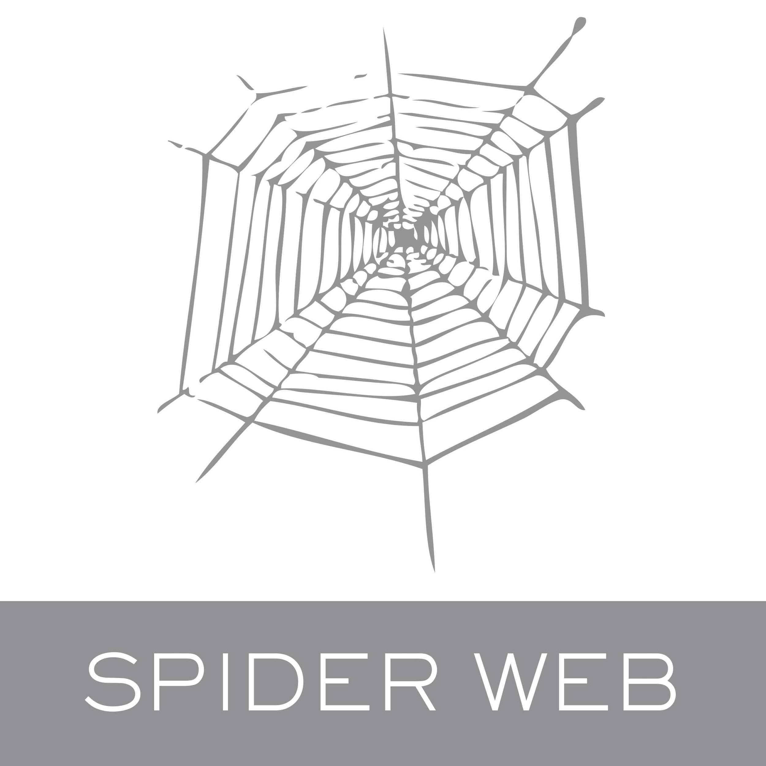 spiderweb.jpg