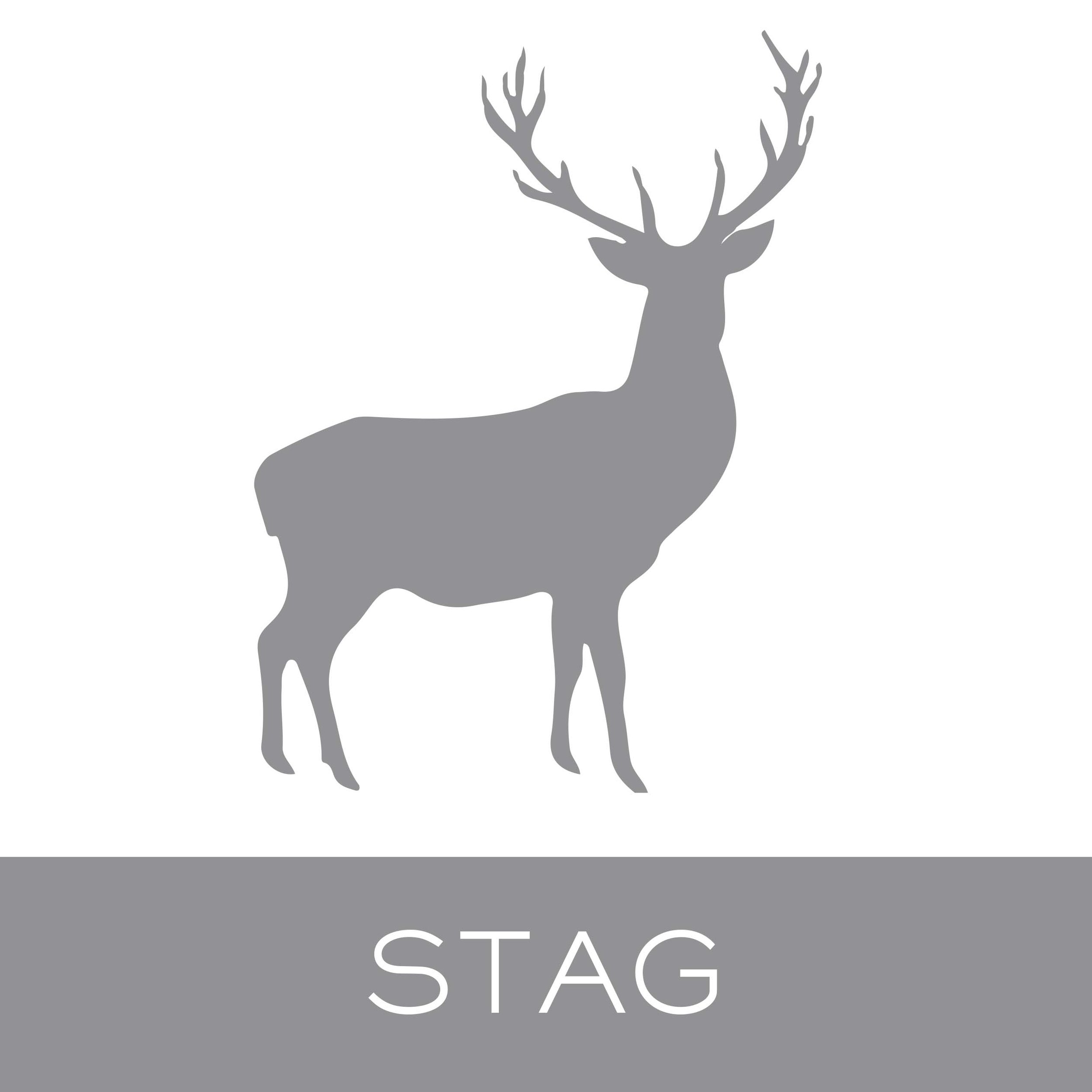 stag.jpg