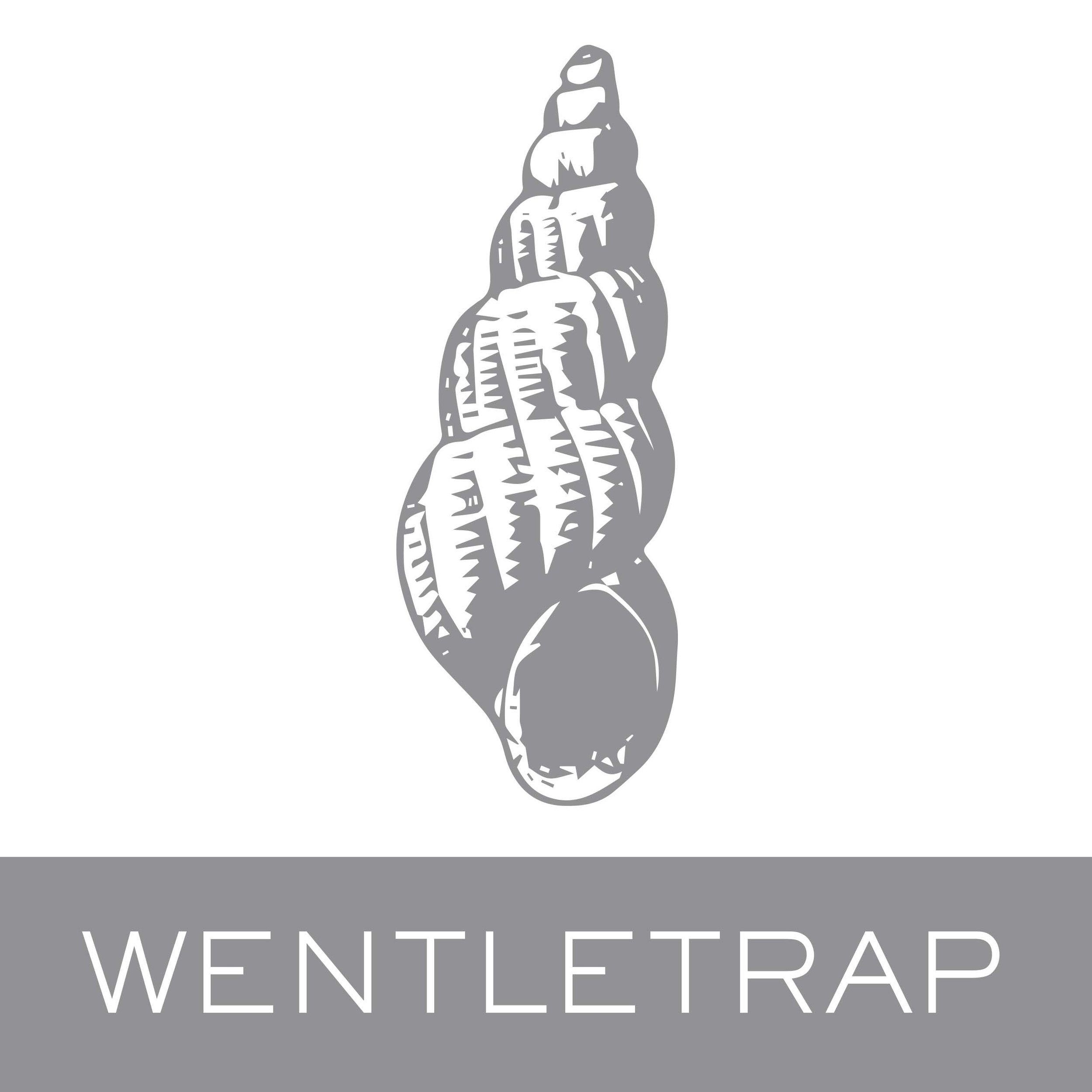 wentletrap.jpg