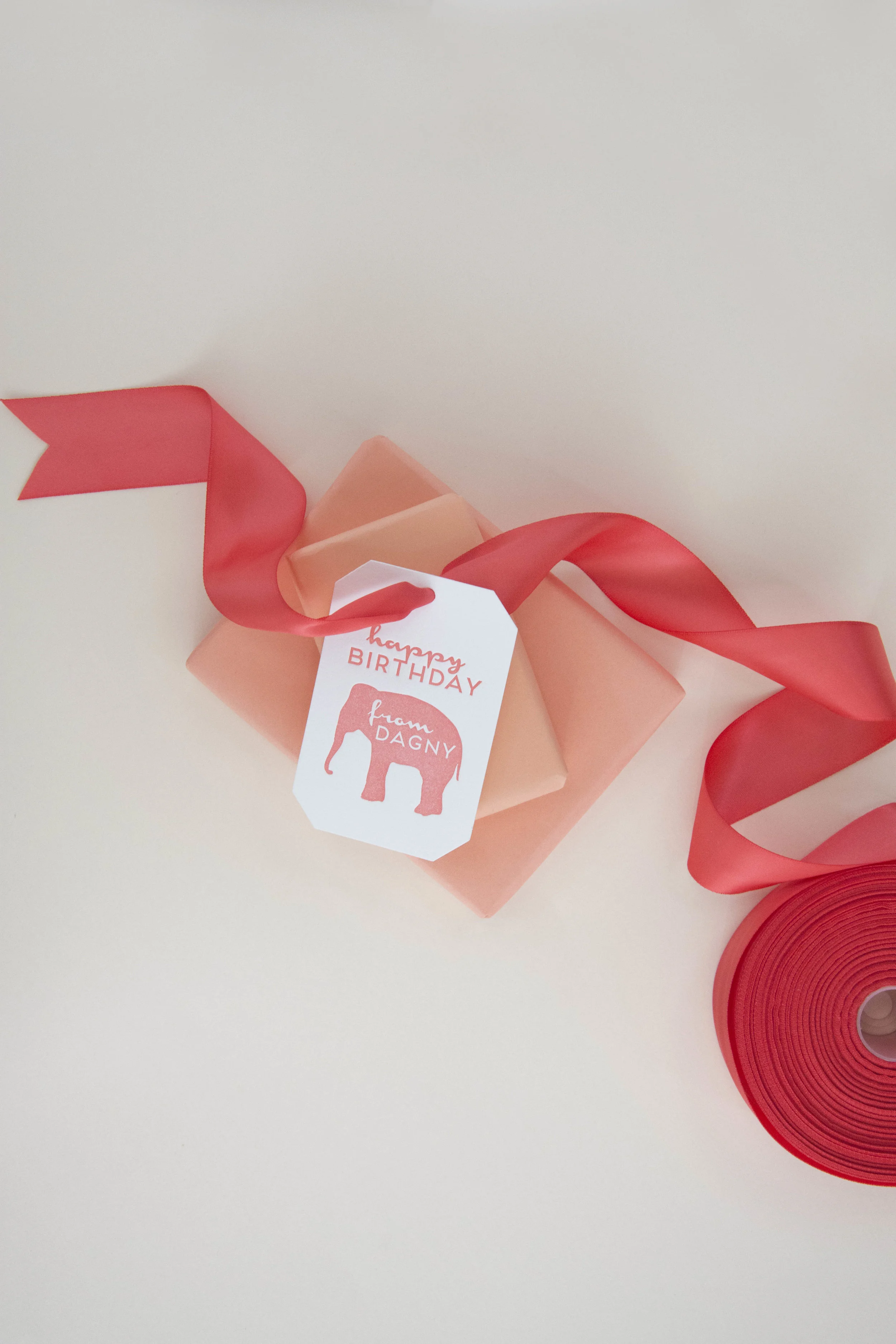 PGT_T53_Salmon_Ribbon_HautePapier.JPG