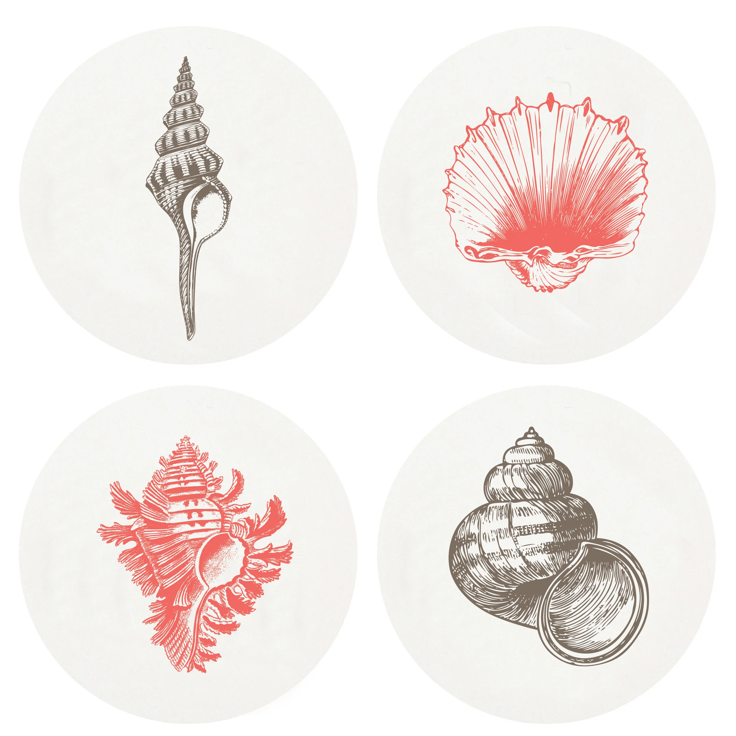 SHELLS