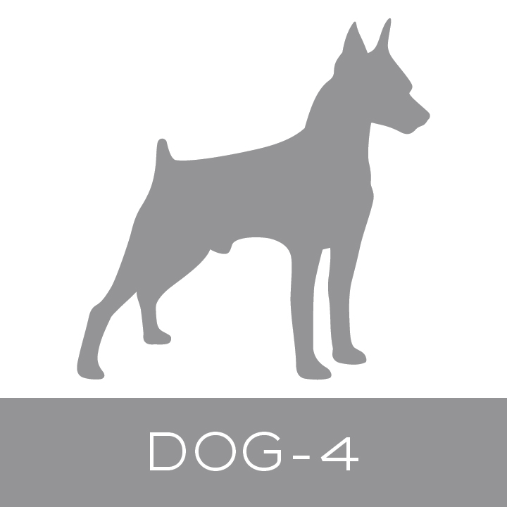 dog-4.jpg