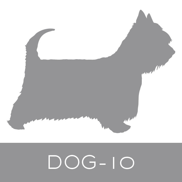 dog-10.jpg