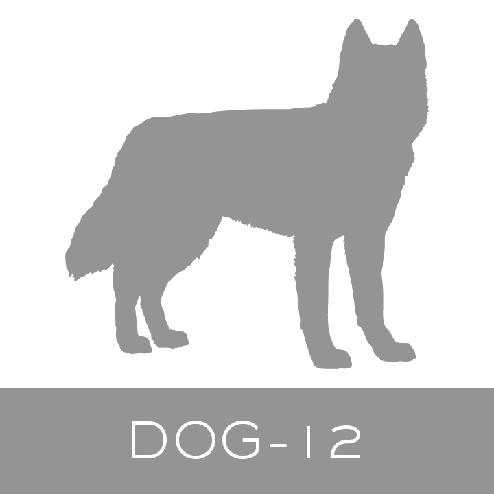 dog-12.jpg