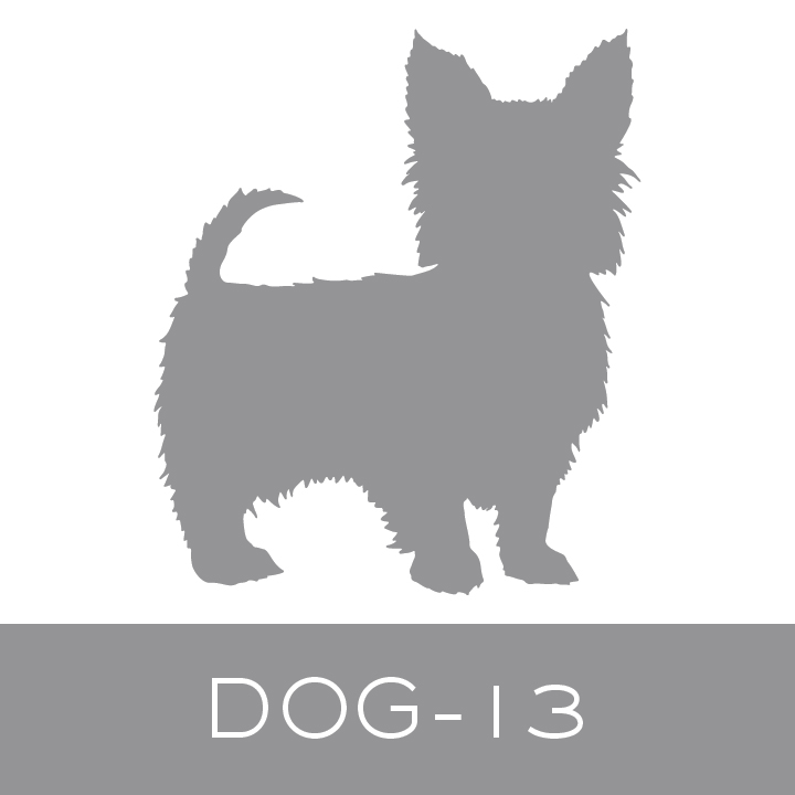 dog-13.jpg