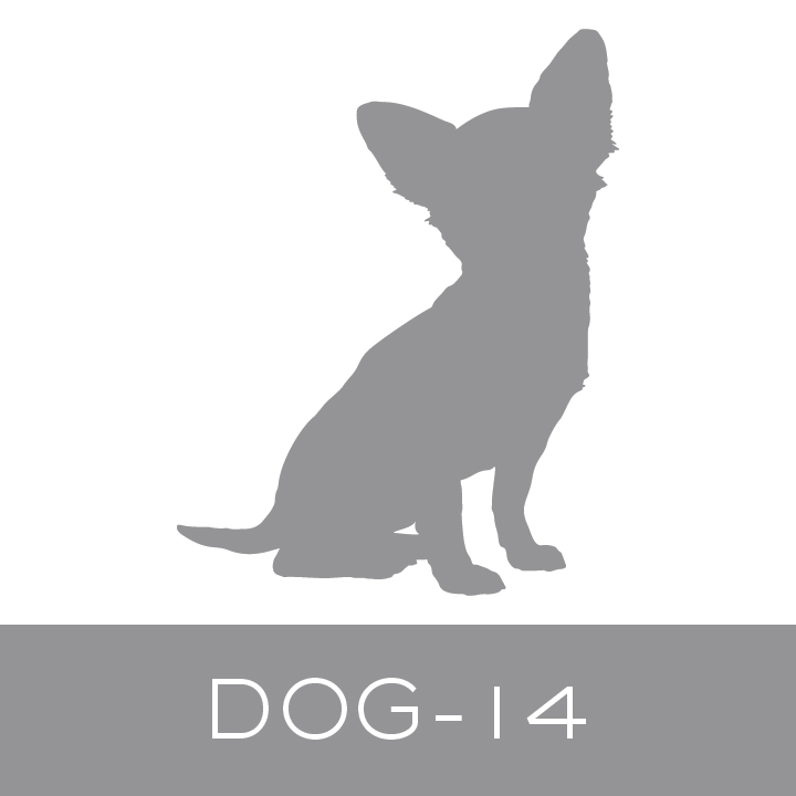 dog-14.jpg