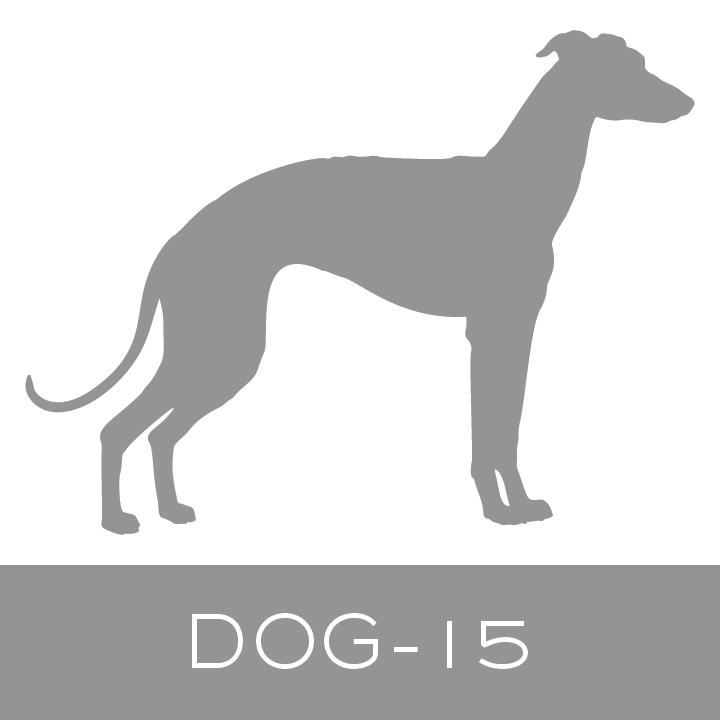 dog-15.jpg