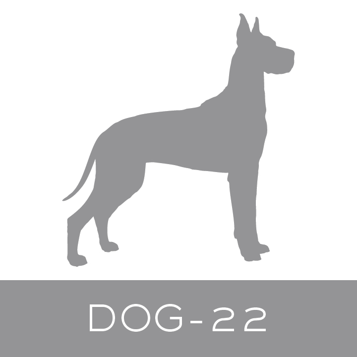 dog-22.jpg