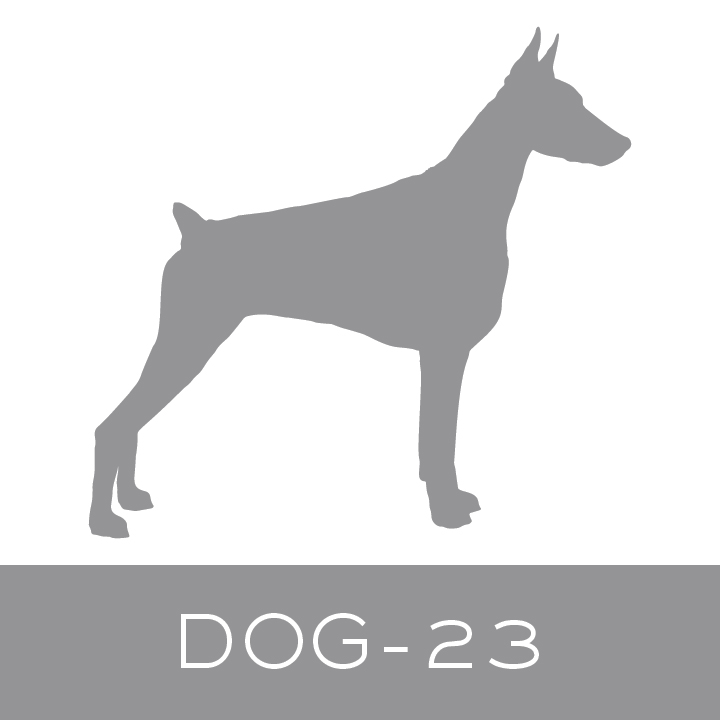 dog-23.jpg