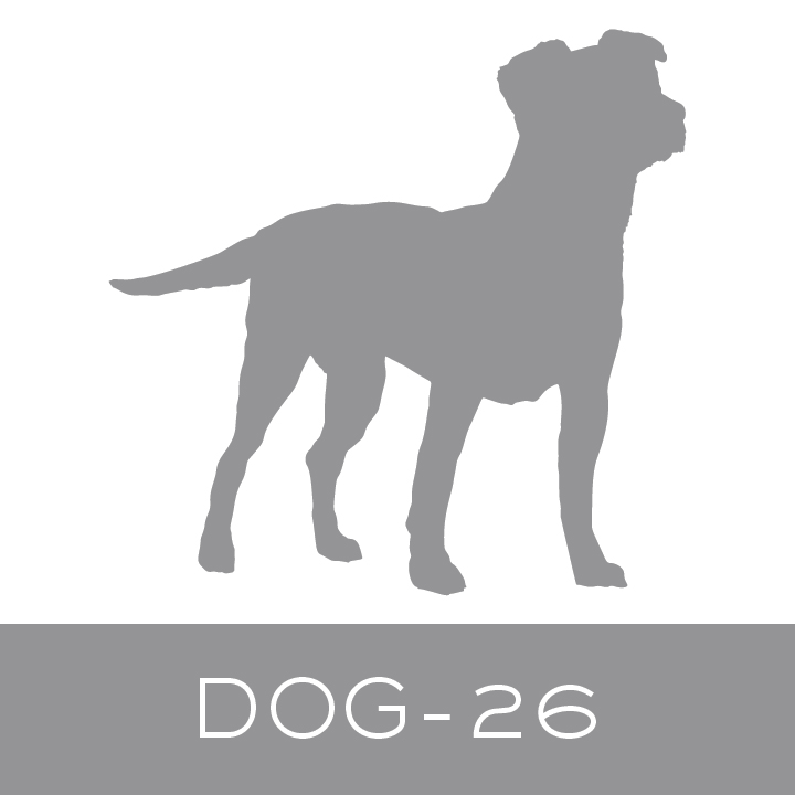 dog-26.jpg