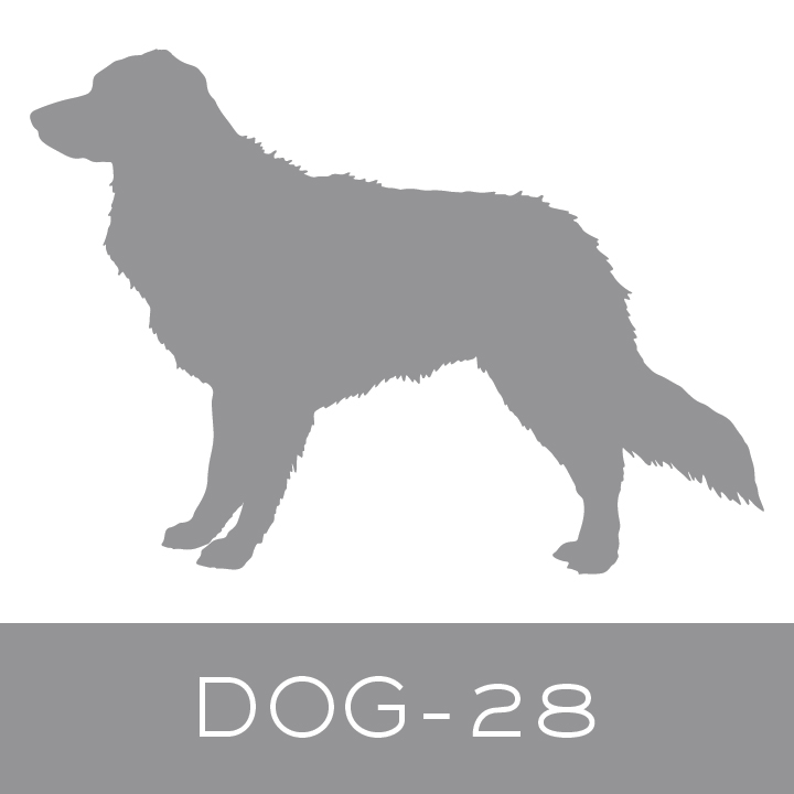 dog-28.jpg