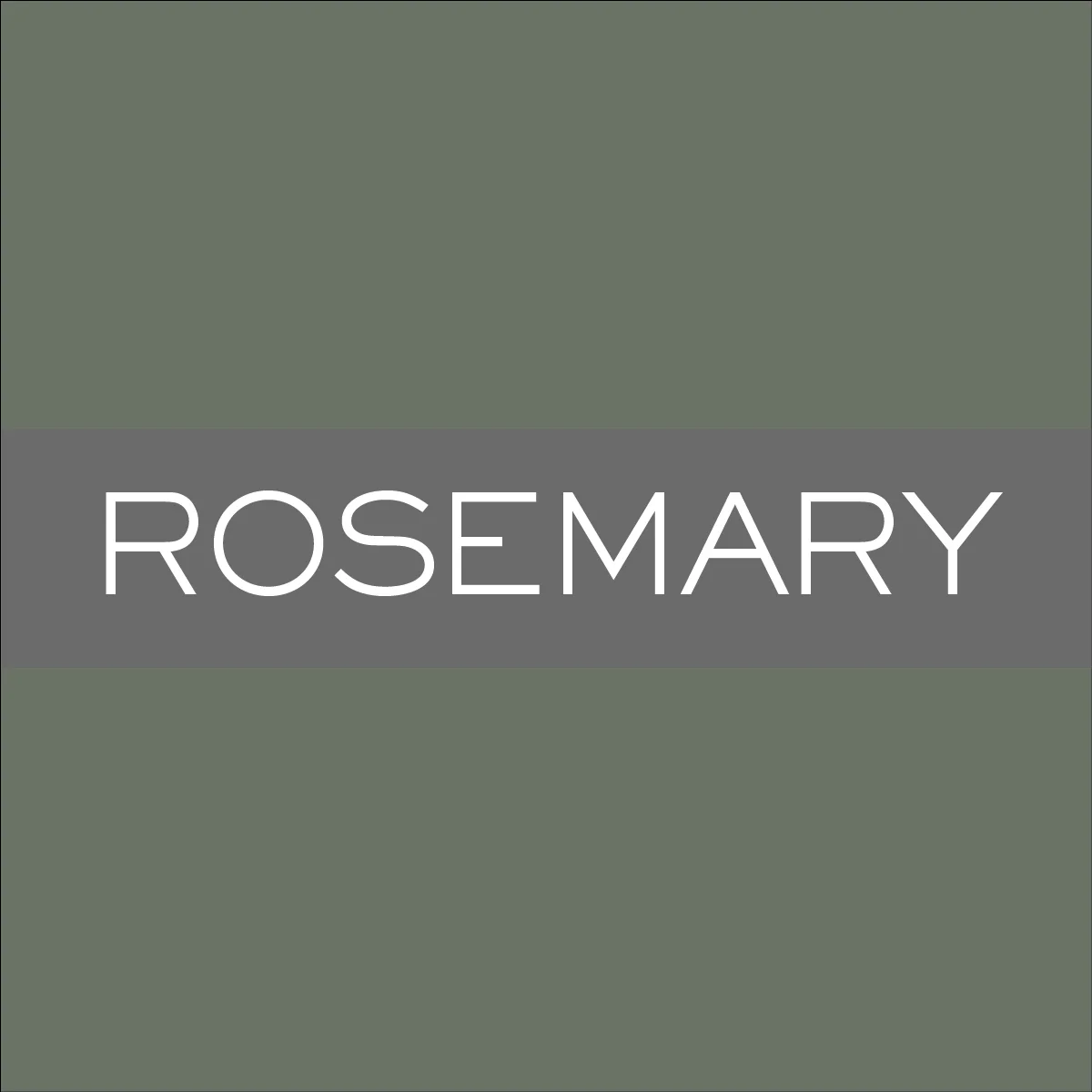 BN_Duplex_Rosemary.jpg