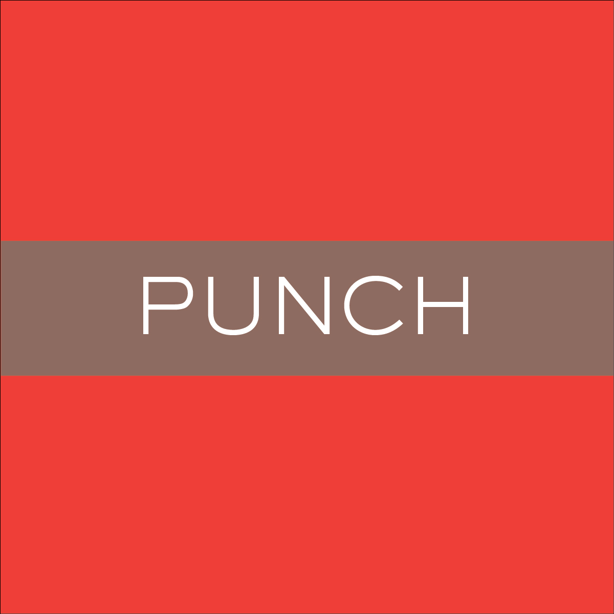 BN_Duplex_Punch.jpg