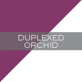 GT_Duplex_Orchid.jpg