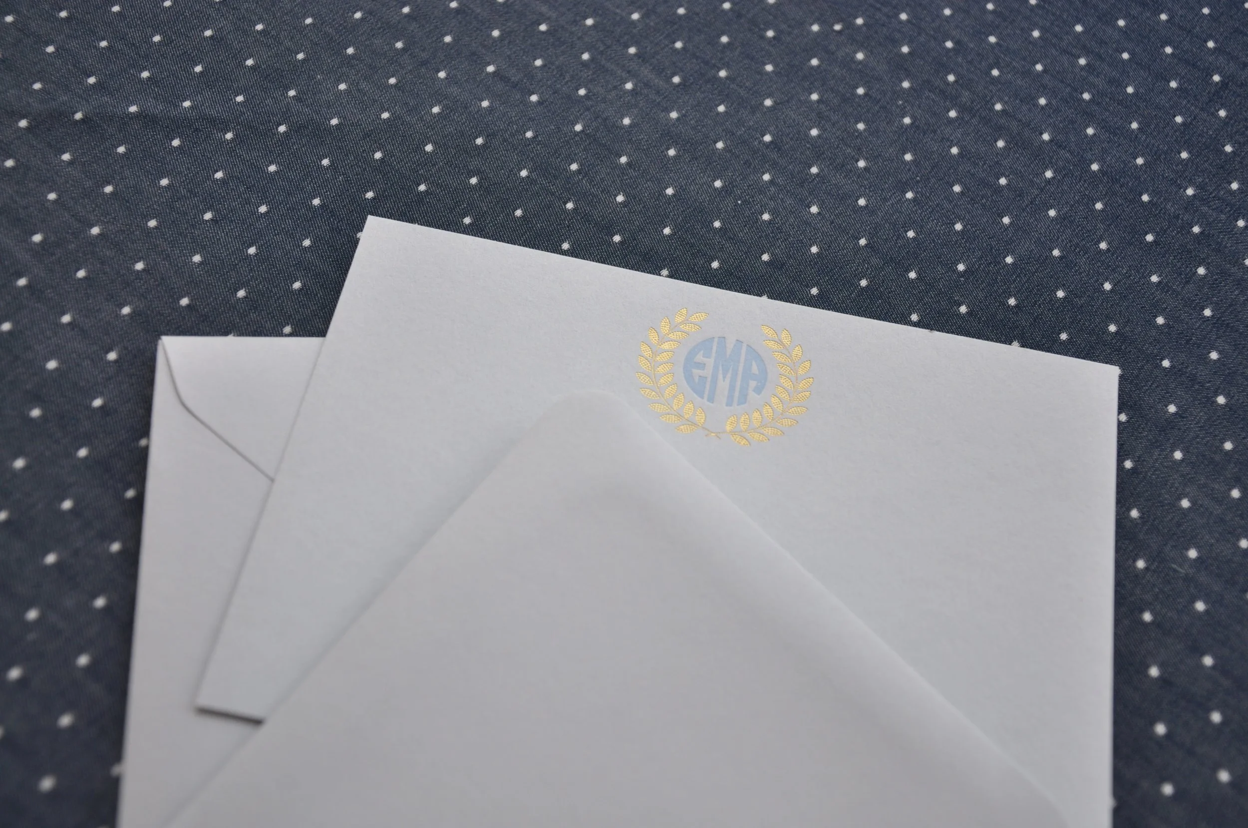 CC-D30_Stylized_HautePapier.jpg