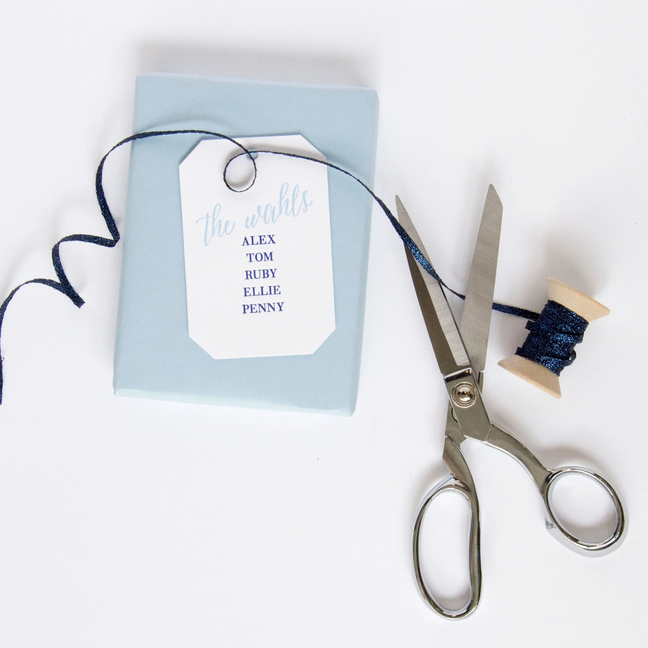 PGT_T21_Stylized_SilverScissors_HautePapier.jpg