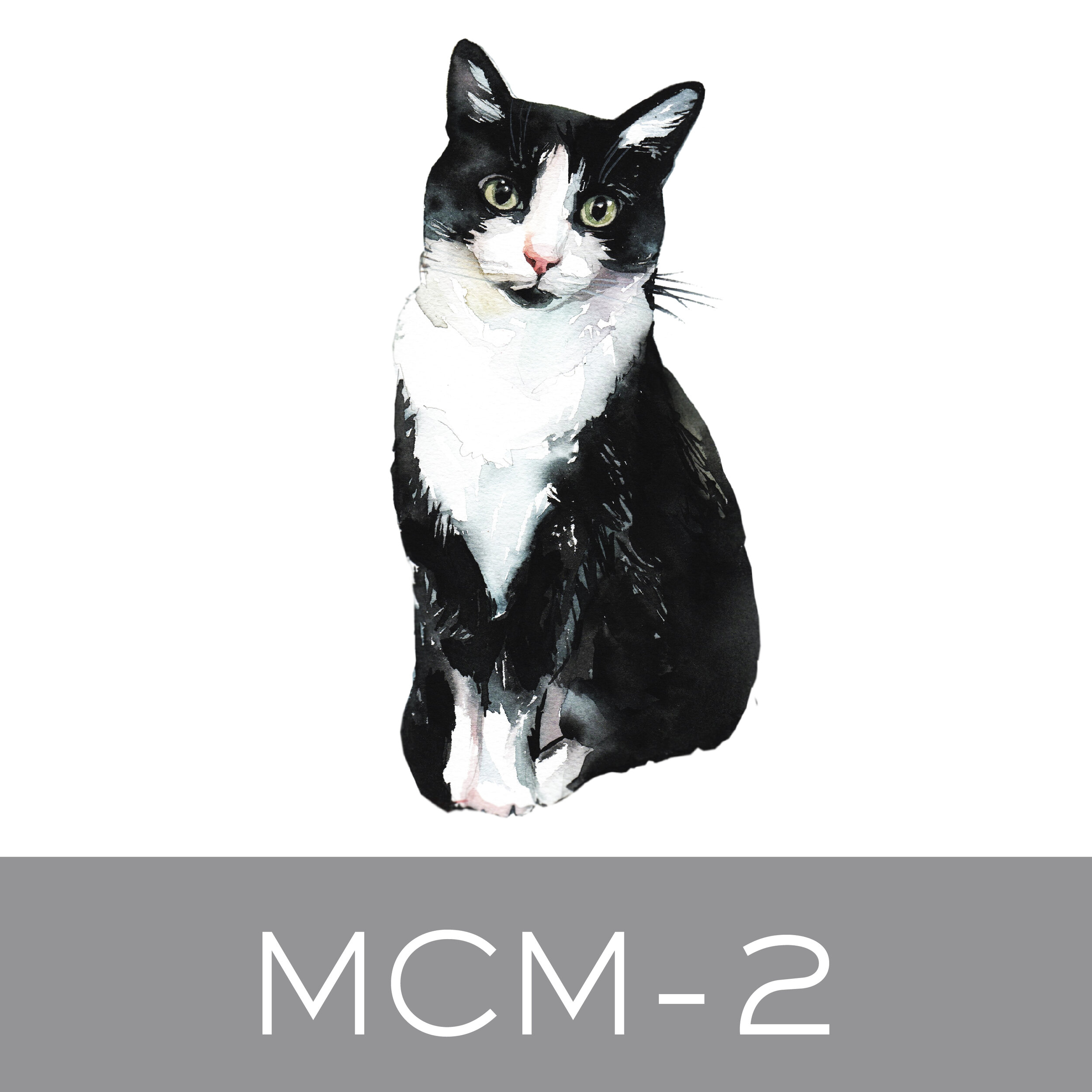 MCM-2.jpg