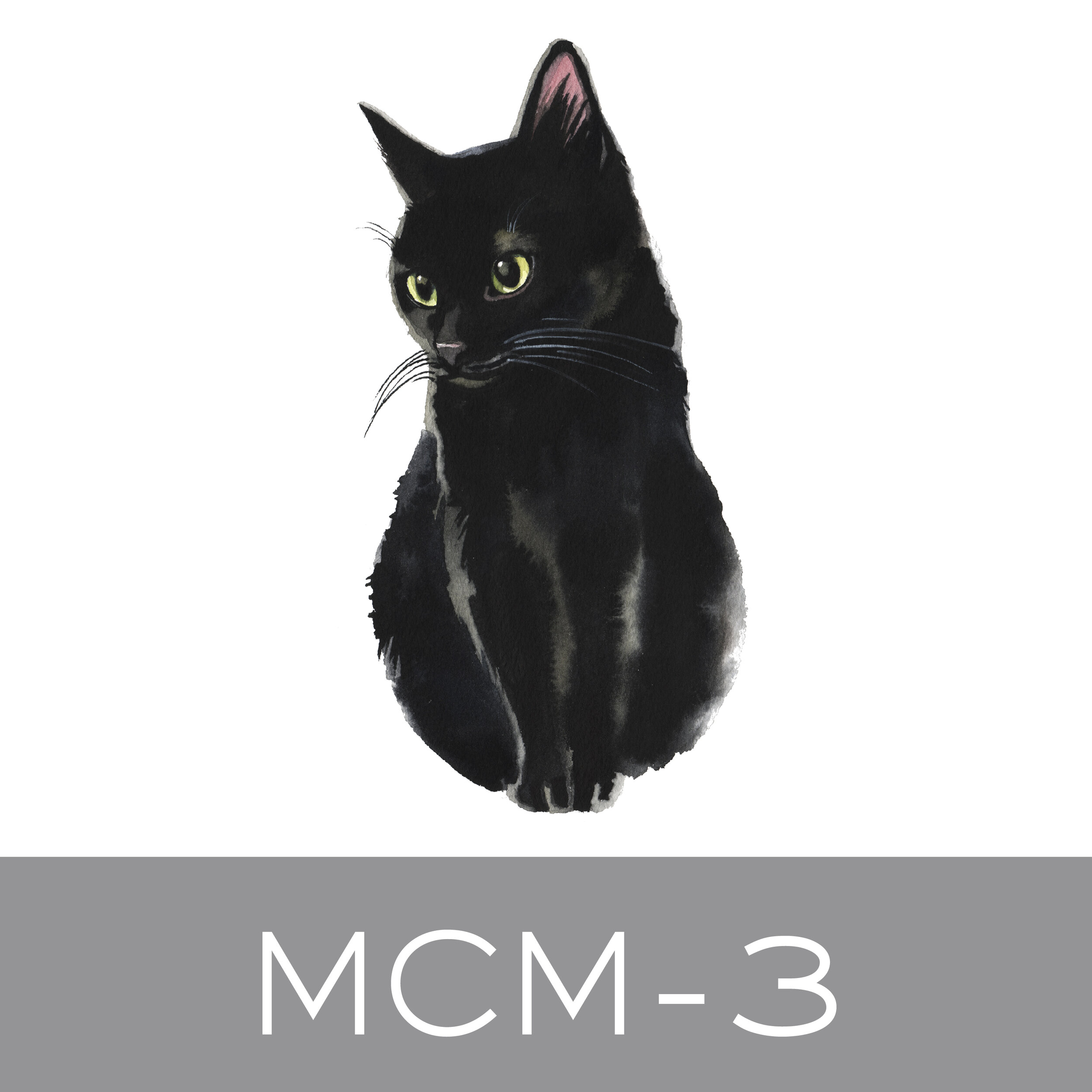 MCM-3.jpg