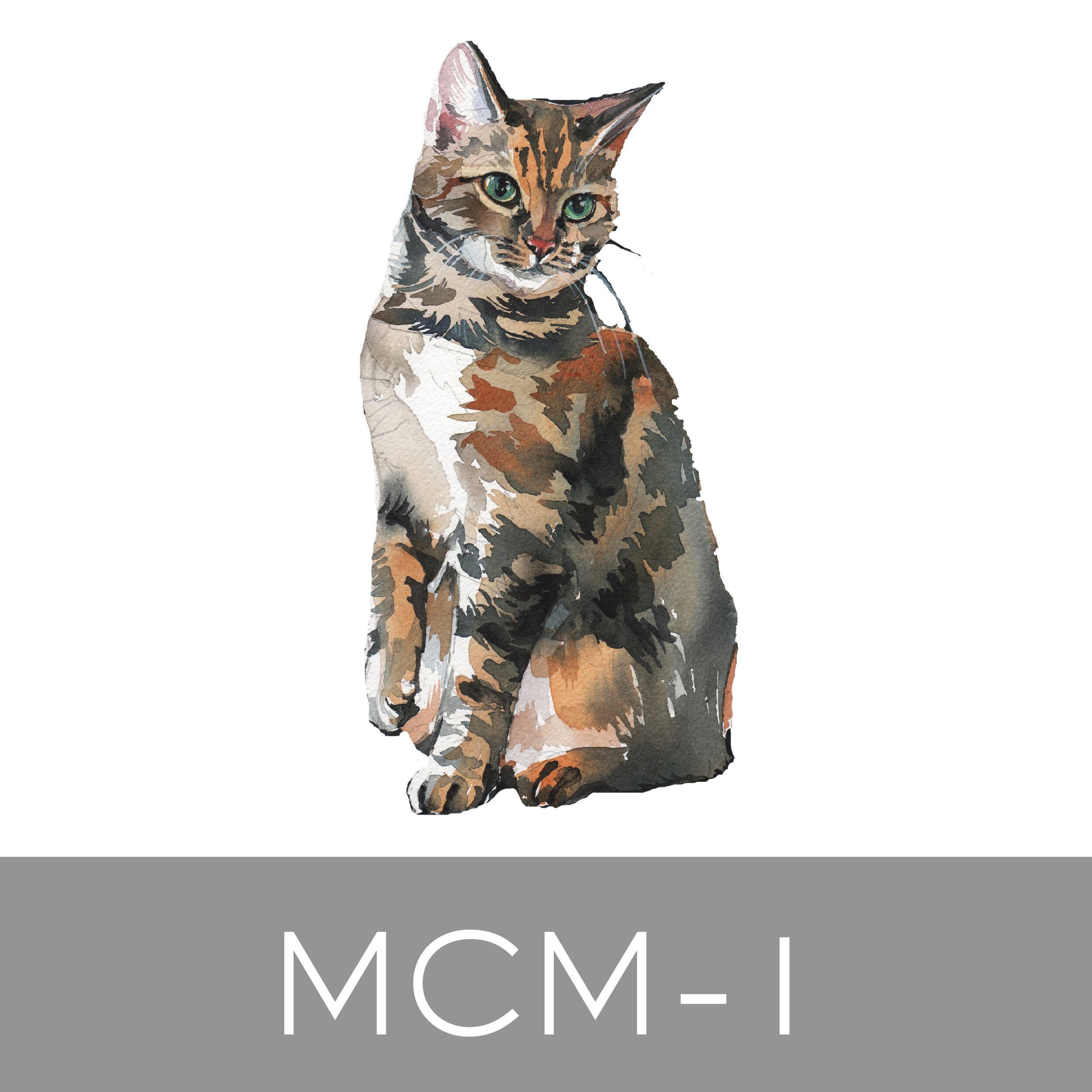 MCM-1.jpg