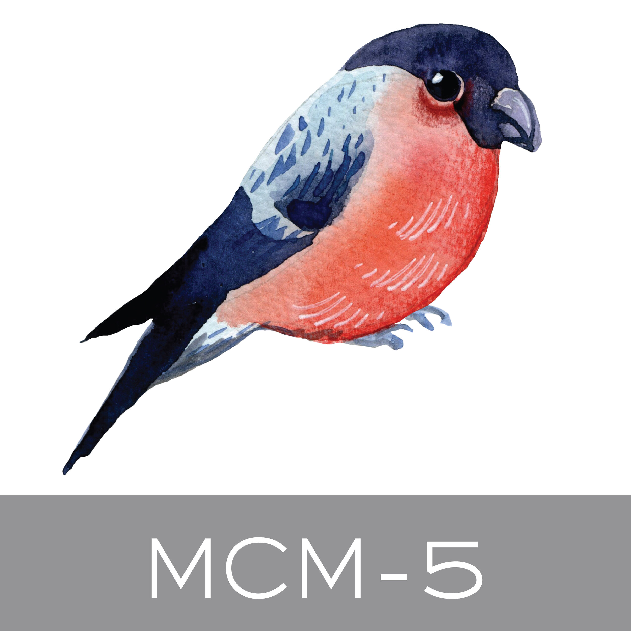 MCM-5.jpg