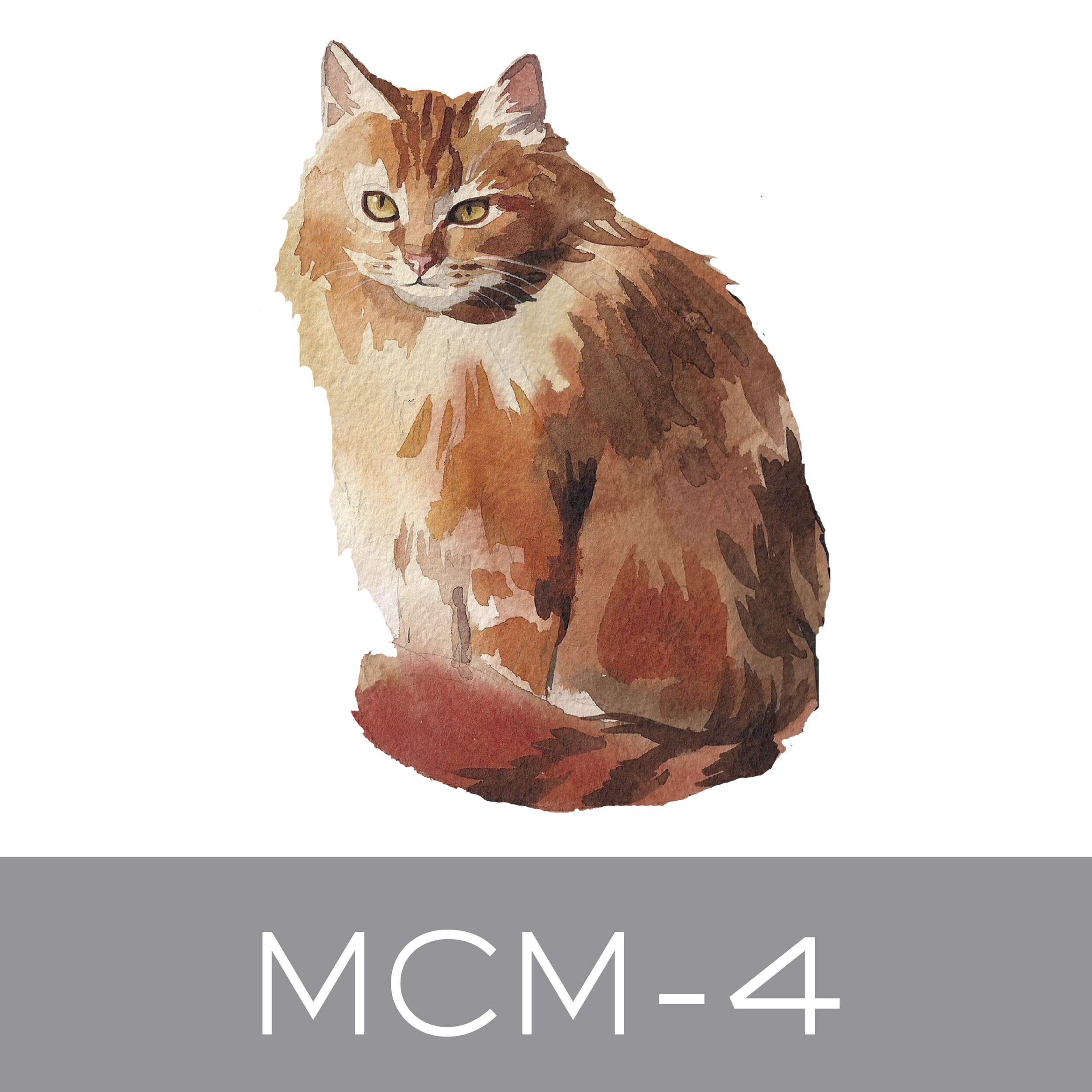 MCM-4.jpg