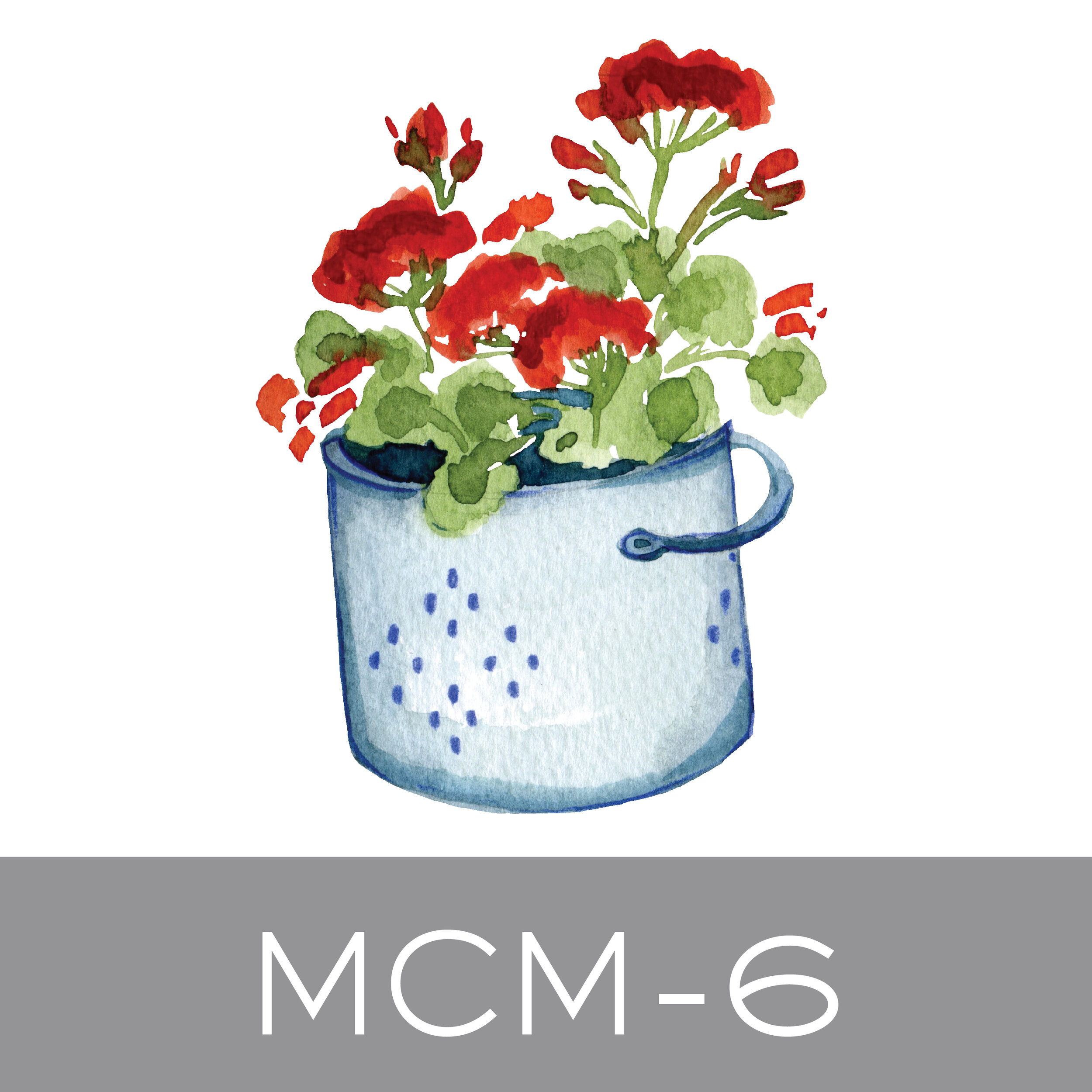 MCM-6.jpg