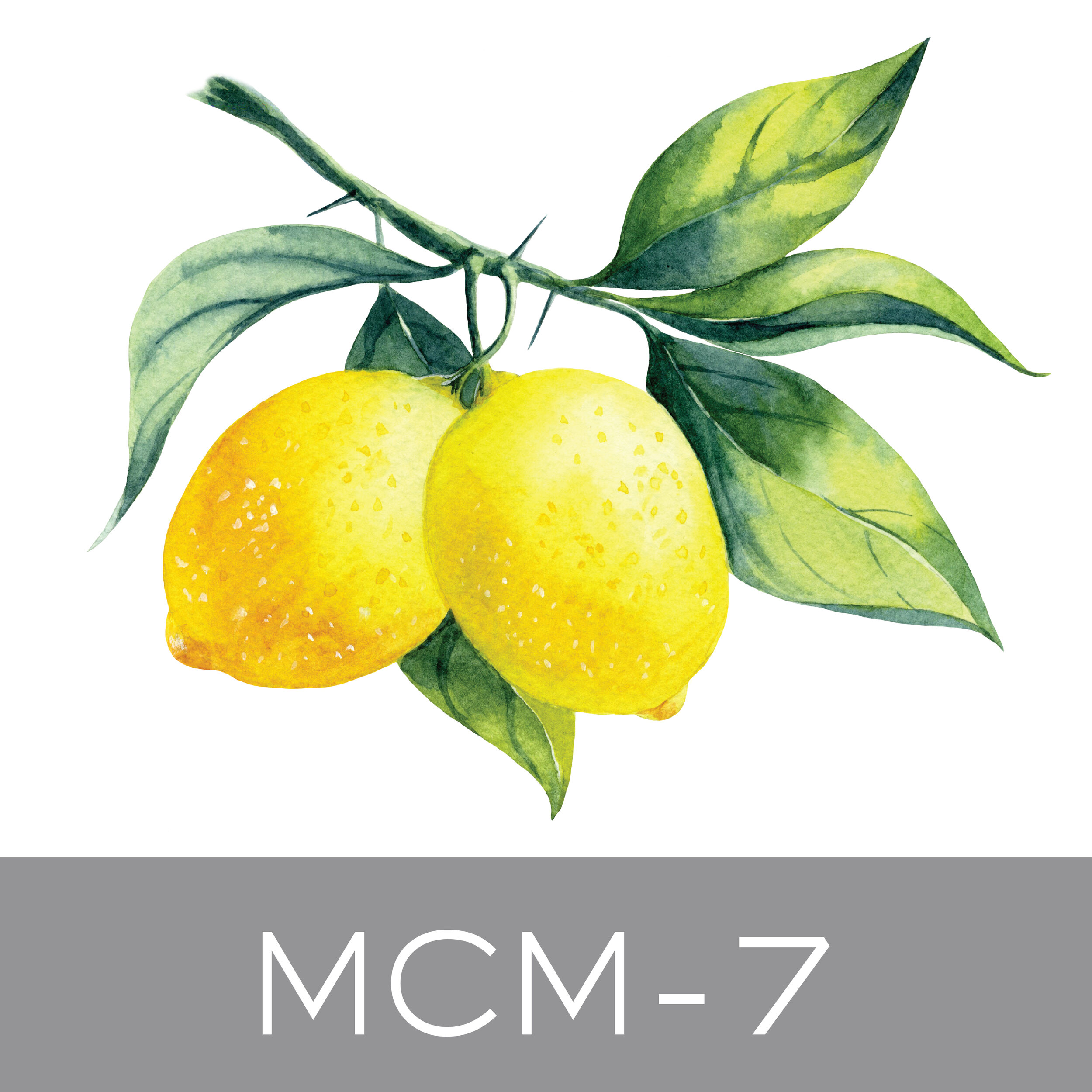 MCM-7.jpg
