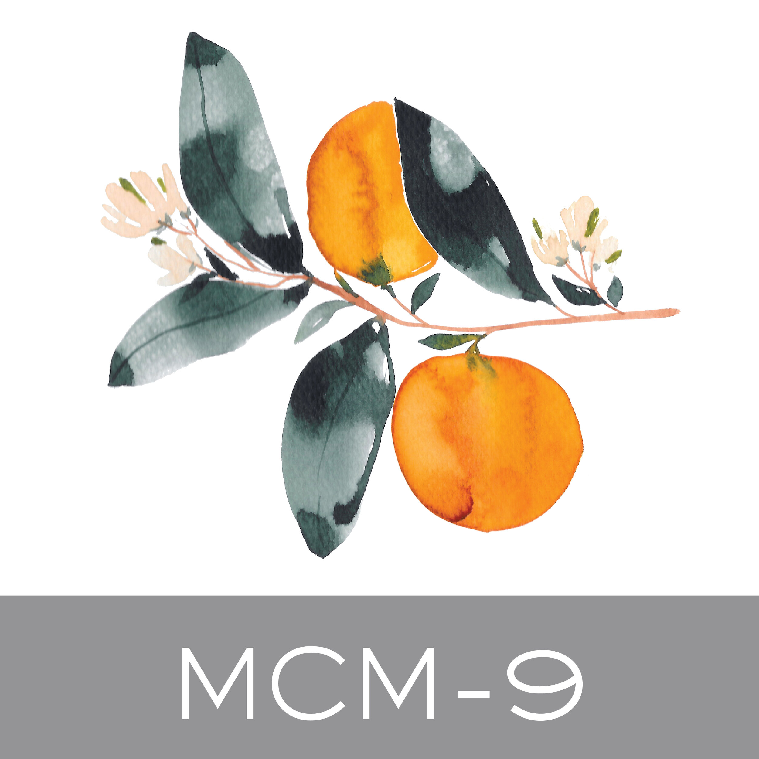 MCM-9.jpg