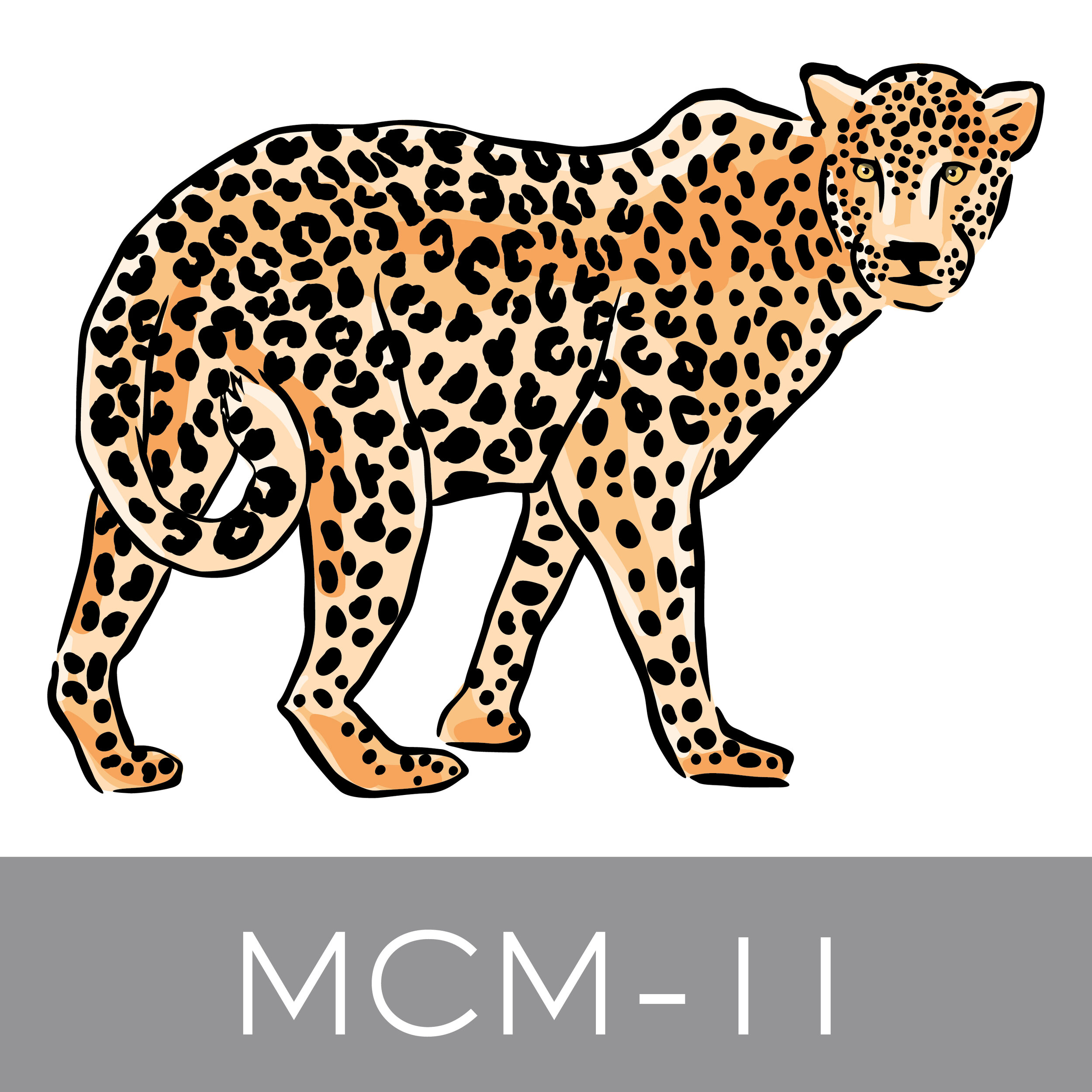 MCM-11.jpg