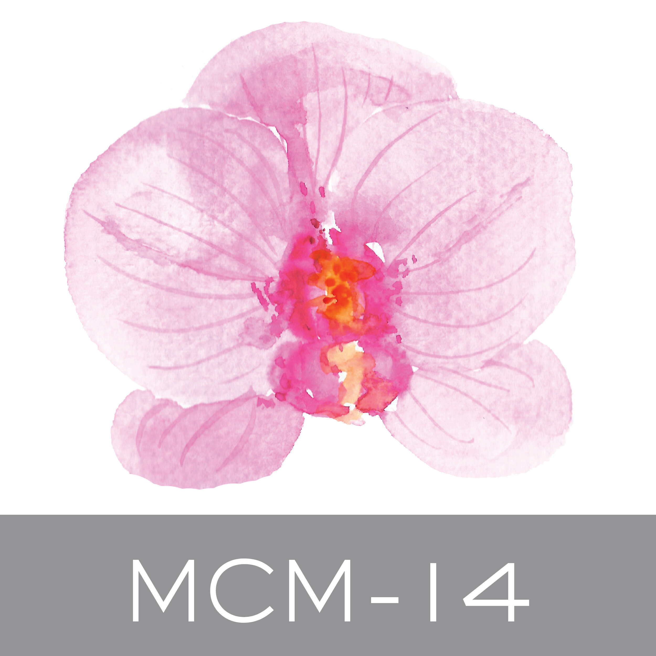 MCM-14.jpg