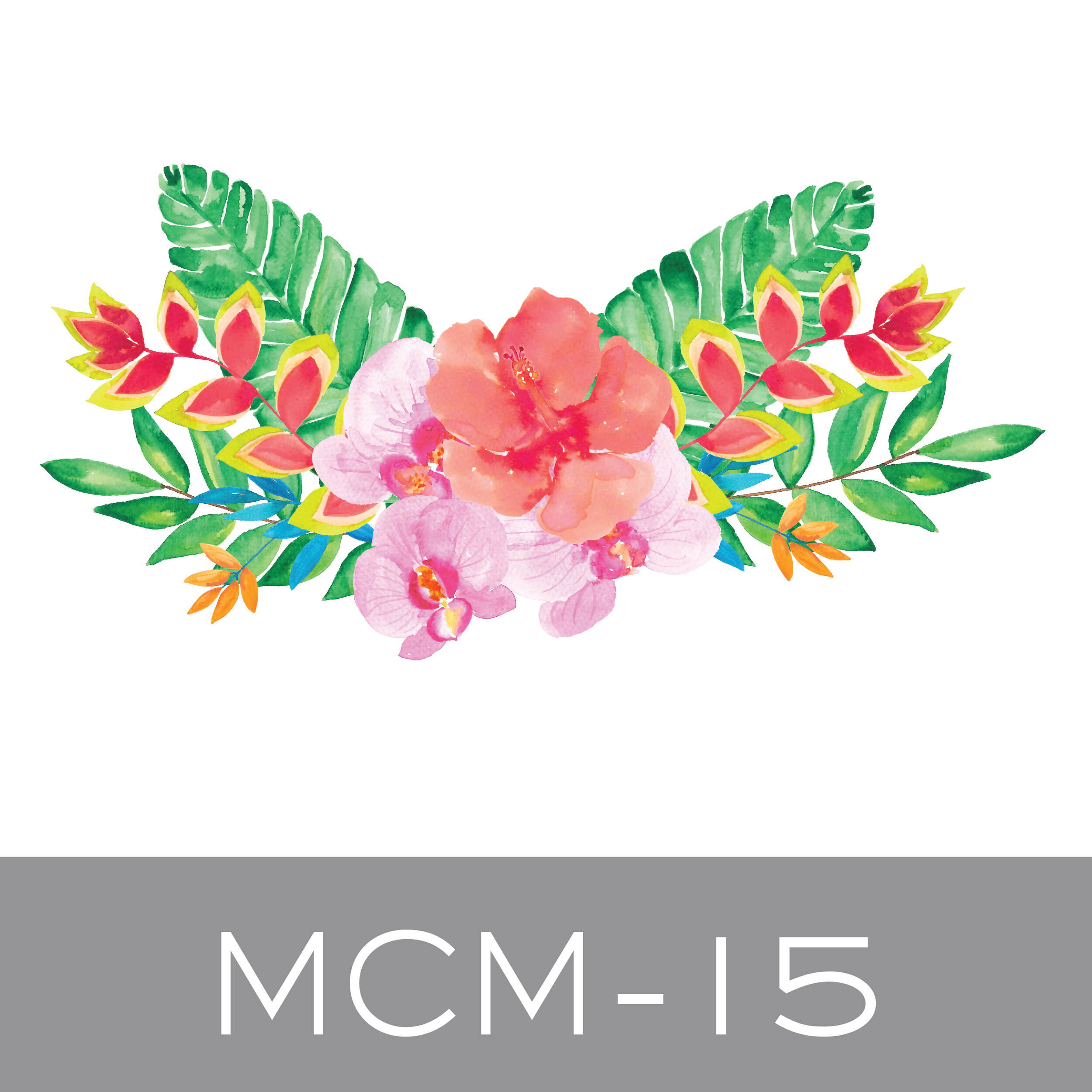MCM-15.jpg