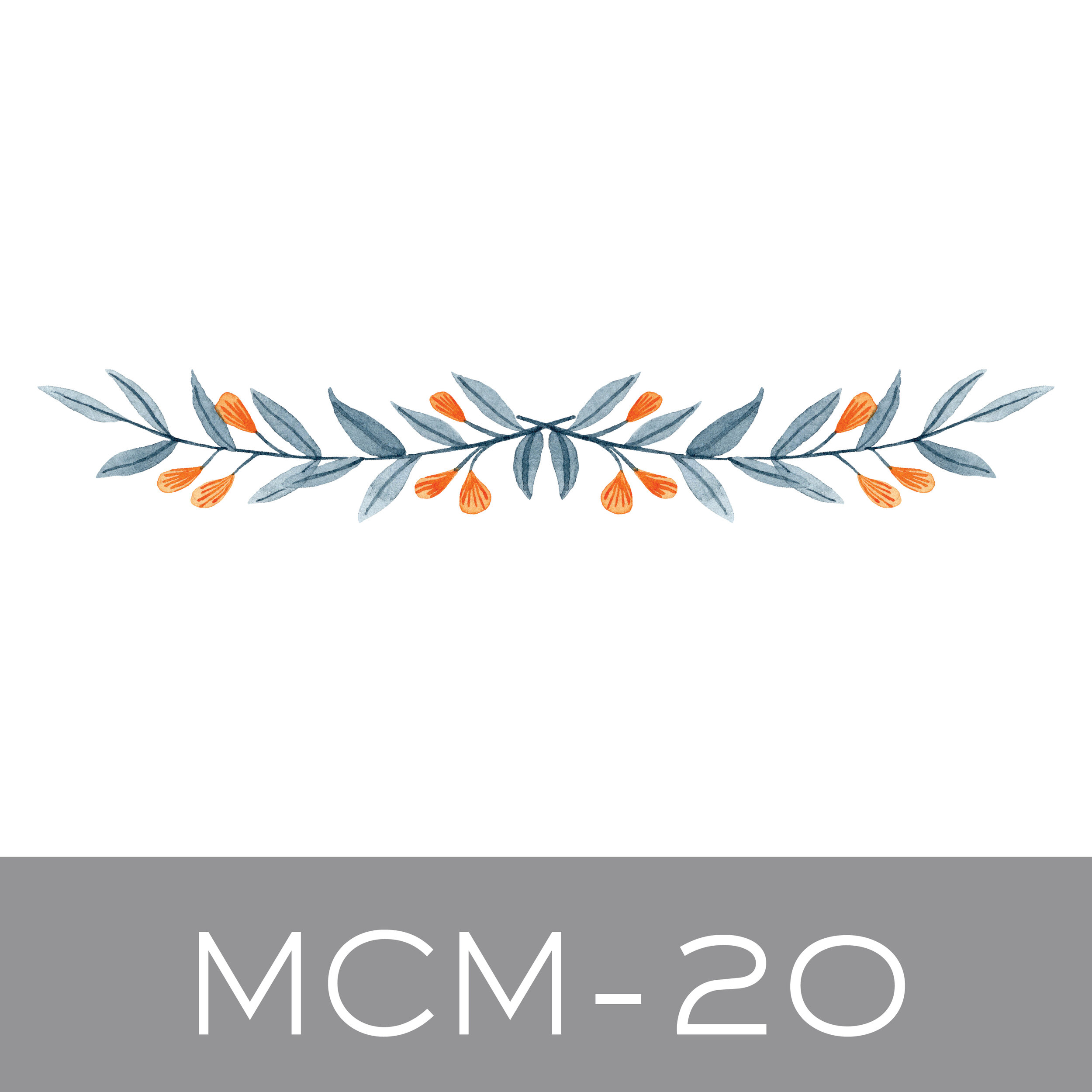 MCM-20.jpg