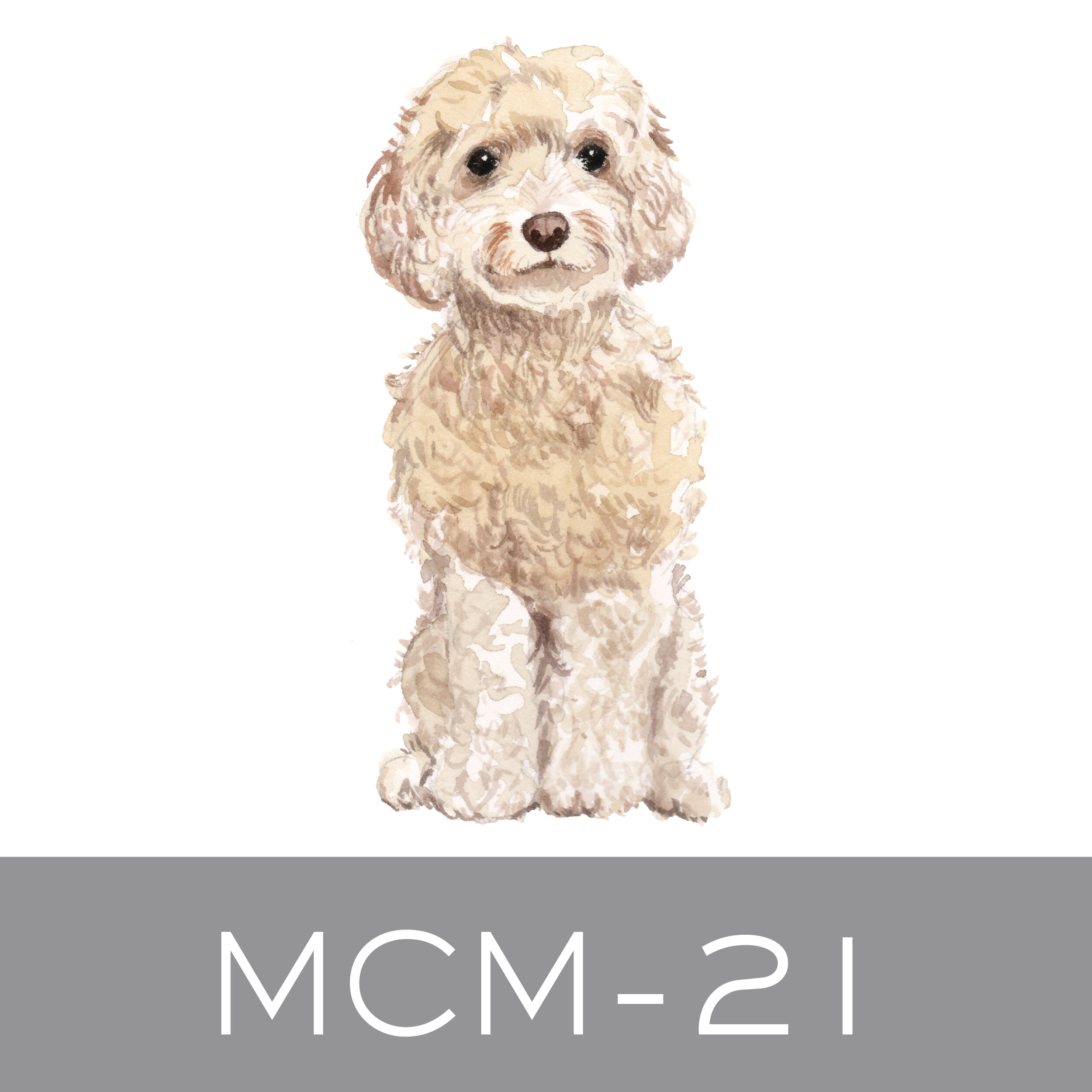 MCM-21.jpg