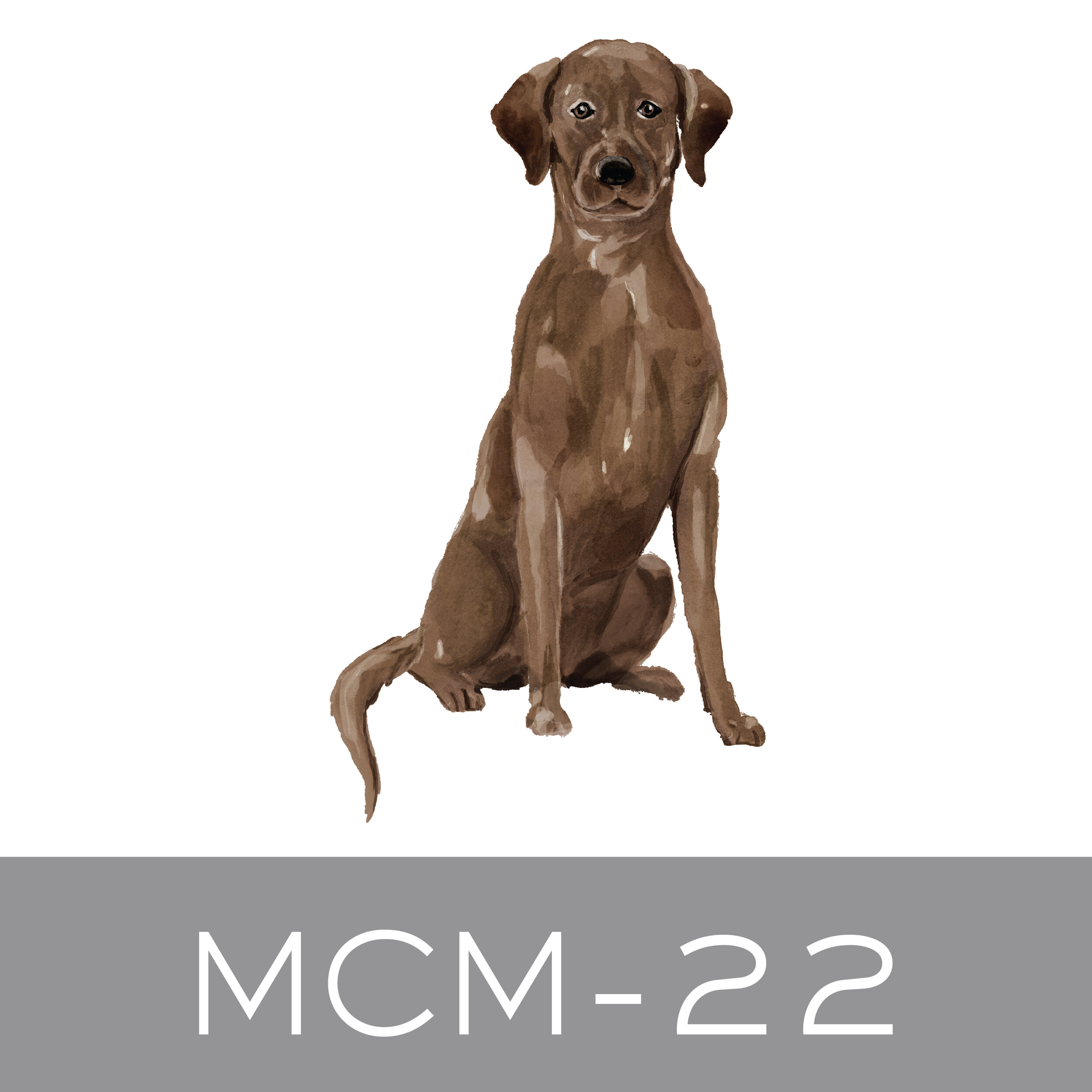 MCM-22.jpg