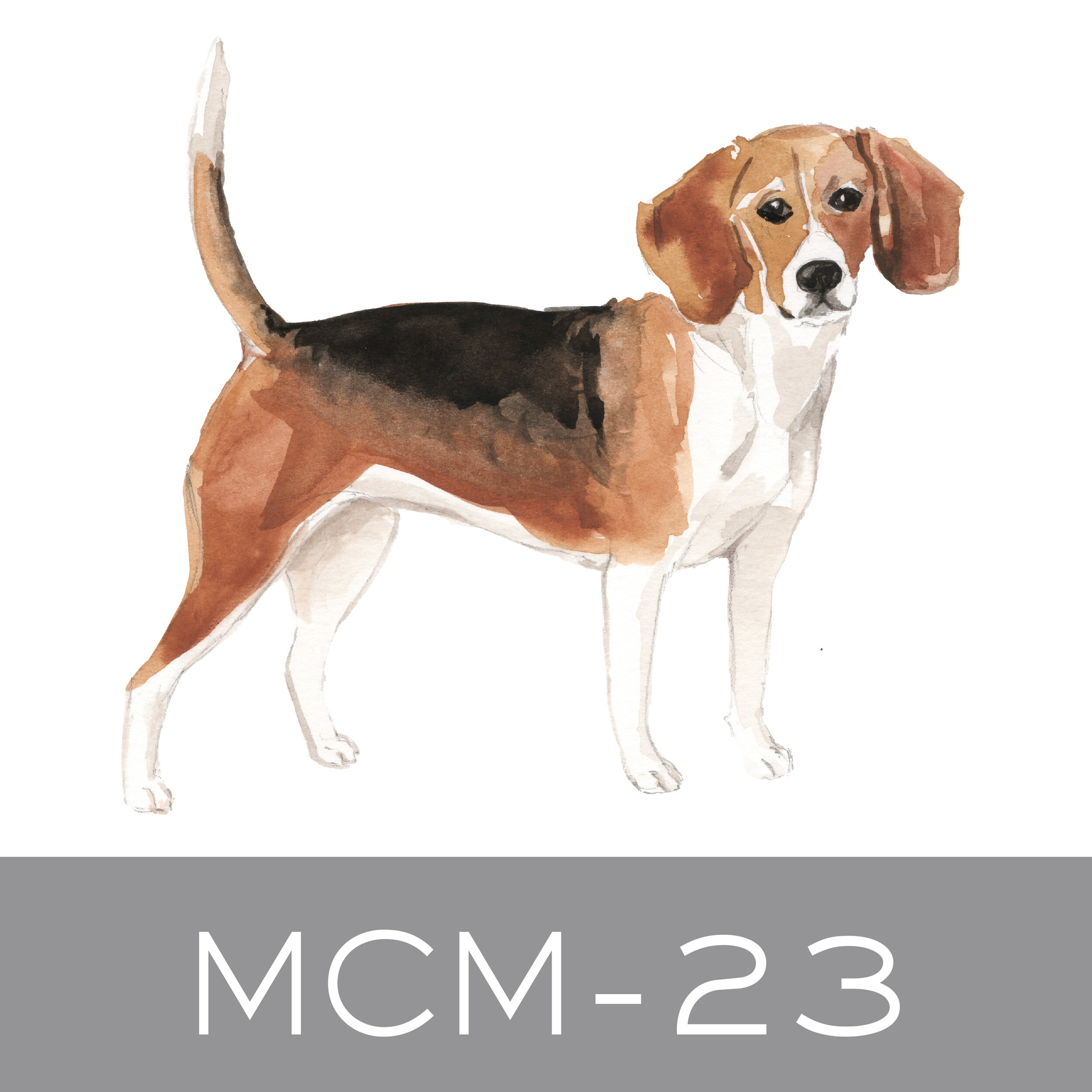 MCM-23.jpg