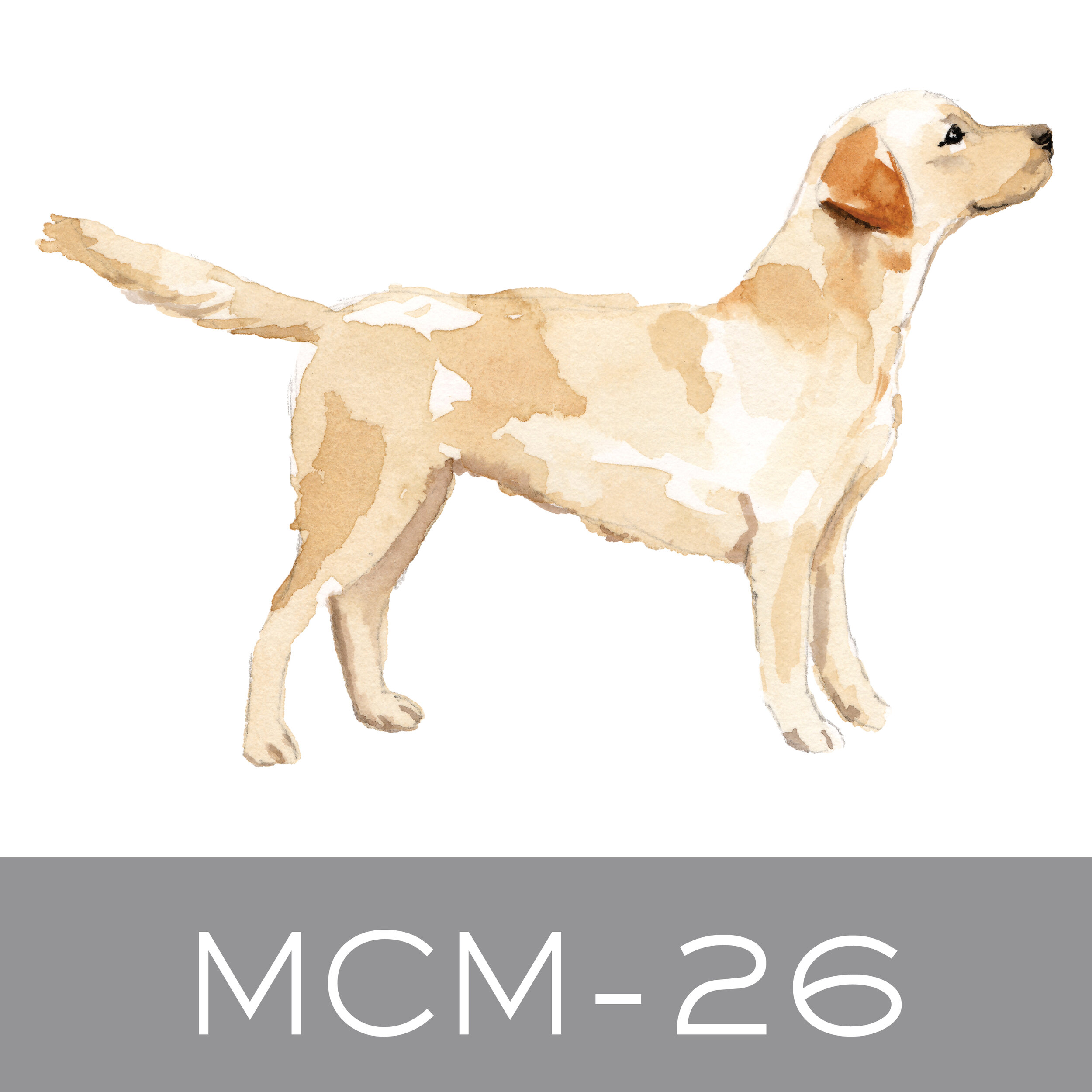 MCM-26.jpg