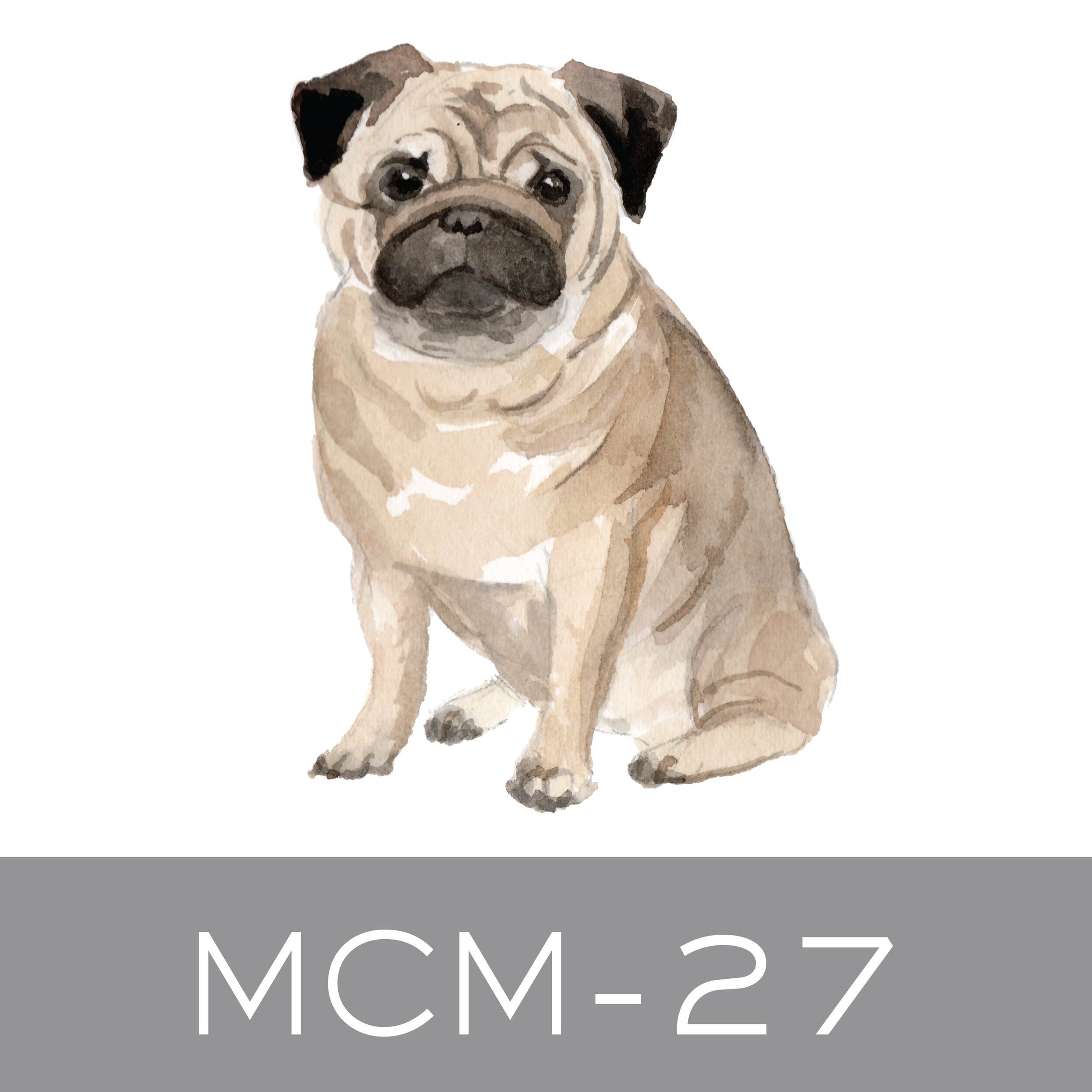 MCM-27.jpg