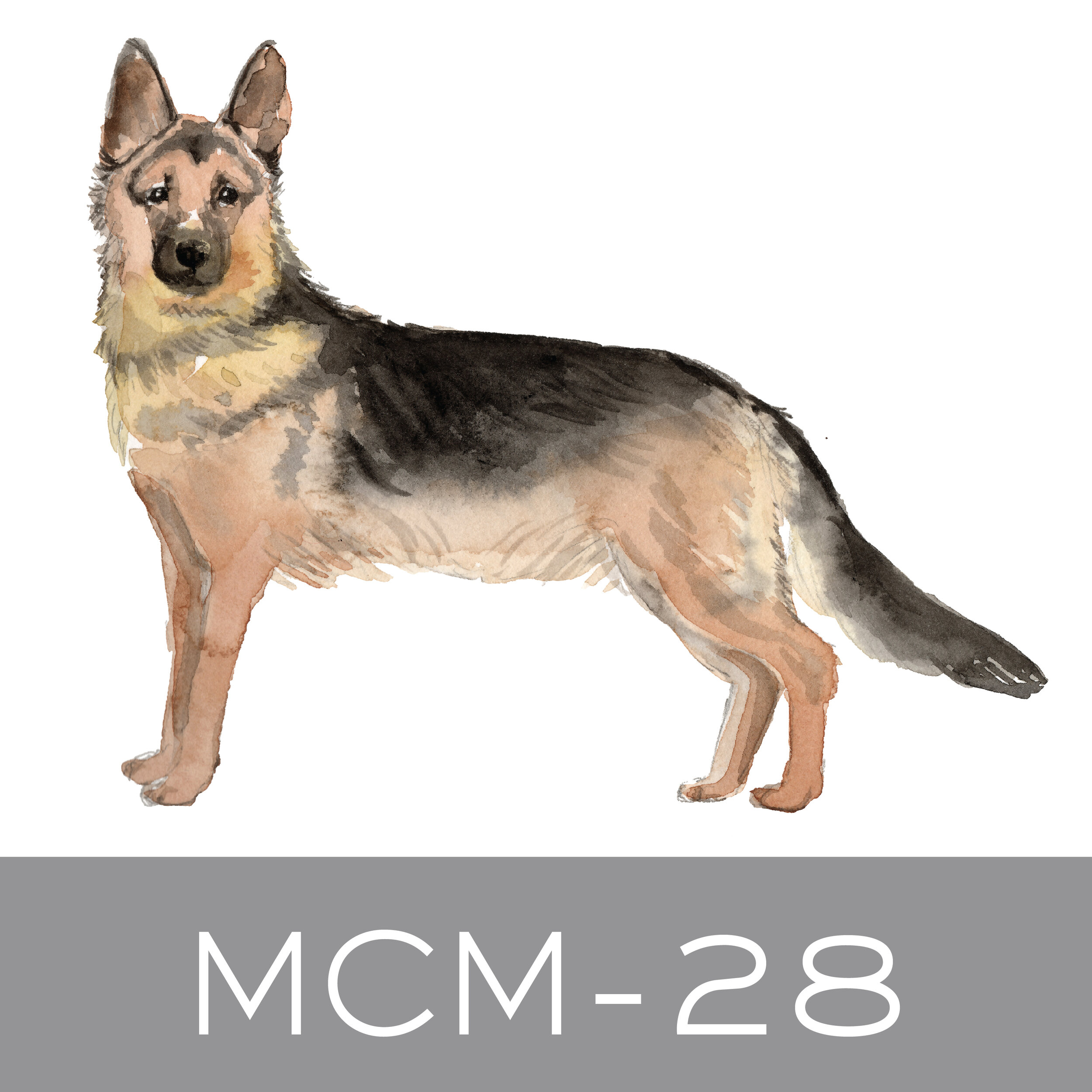 MCM-28.jpg