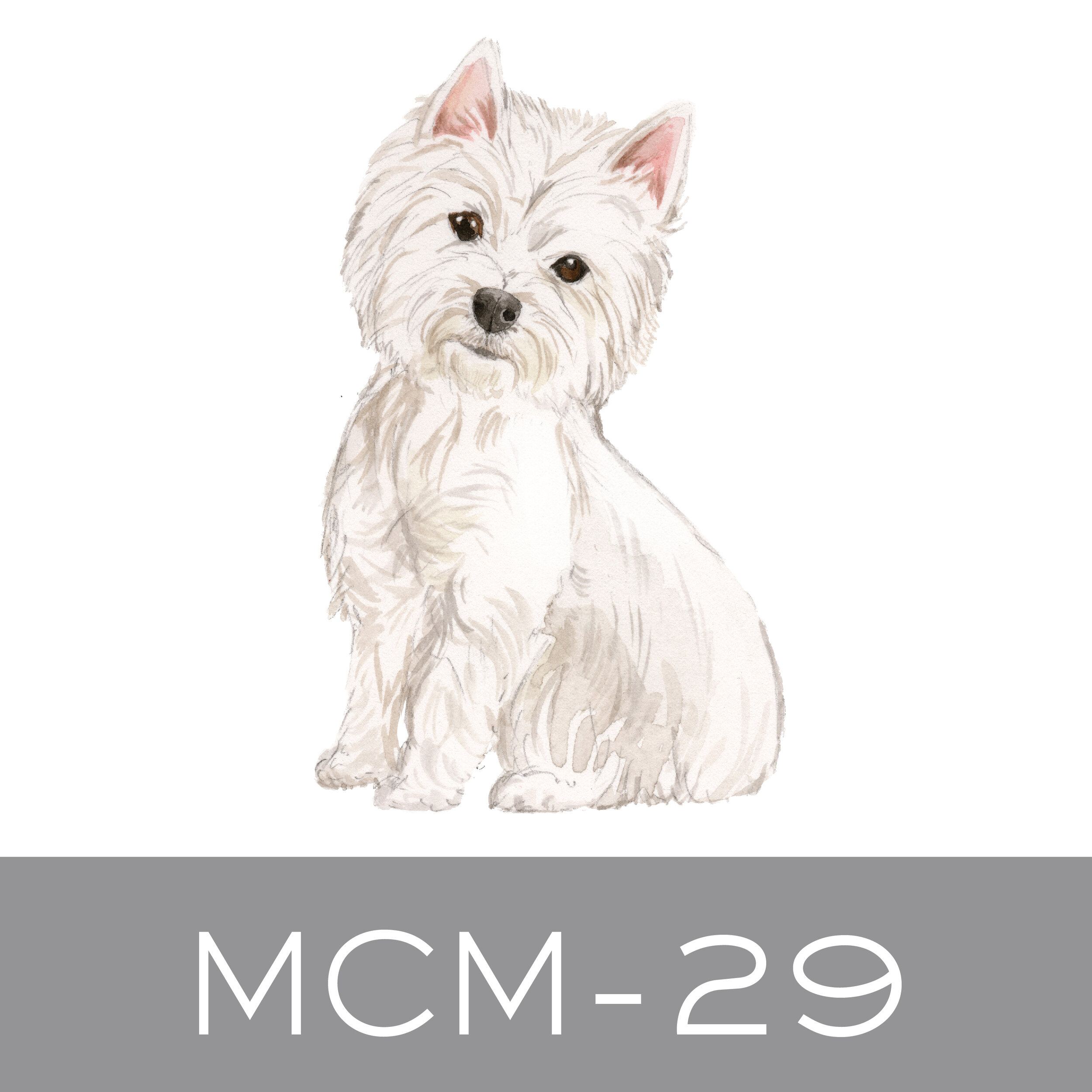 MCM-29.jpg