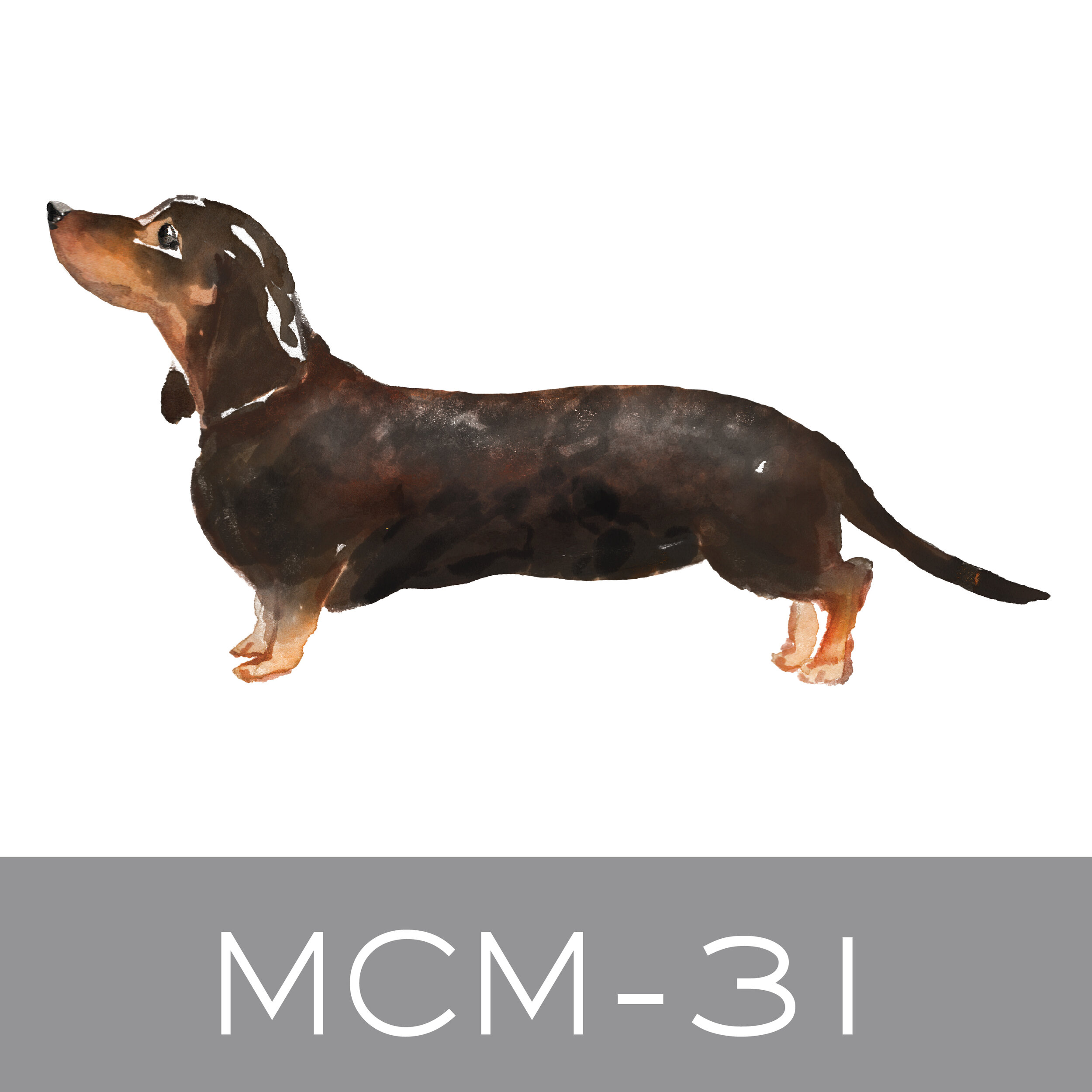 MCM-31.jpg