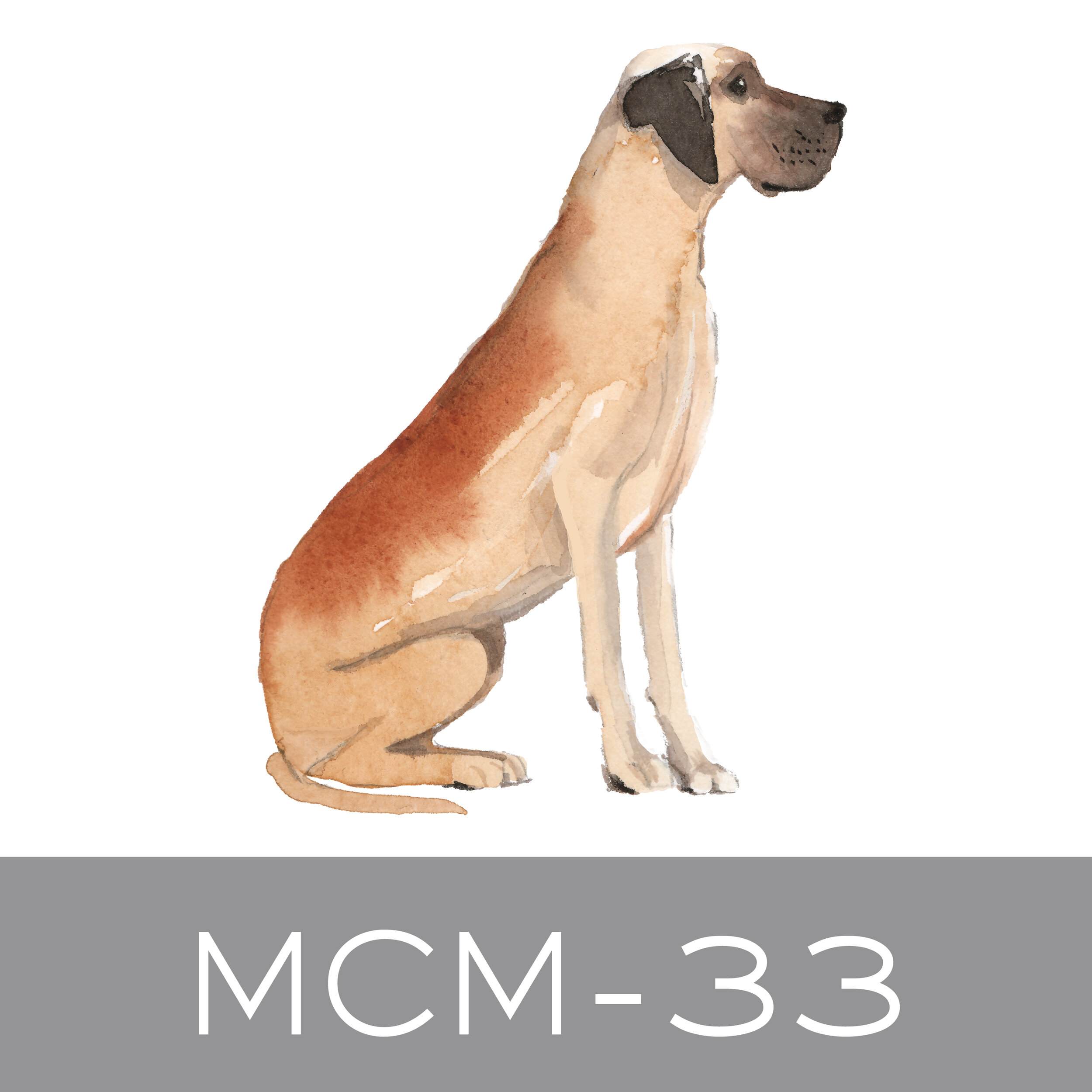 MCM-33.jpg