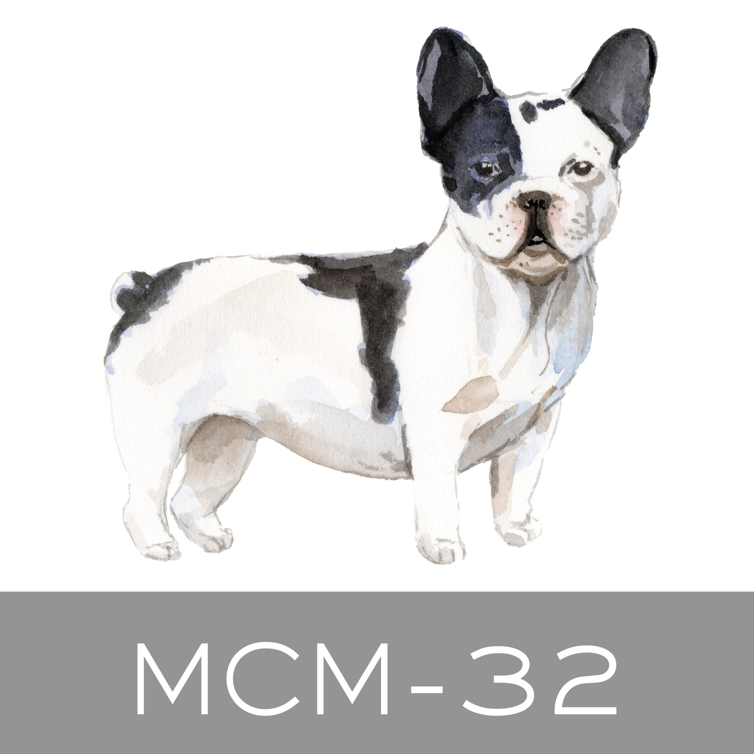 MCM-32.jpg