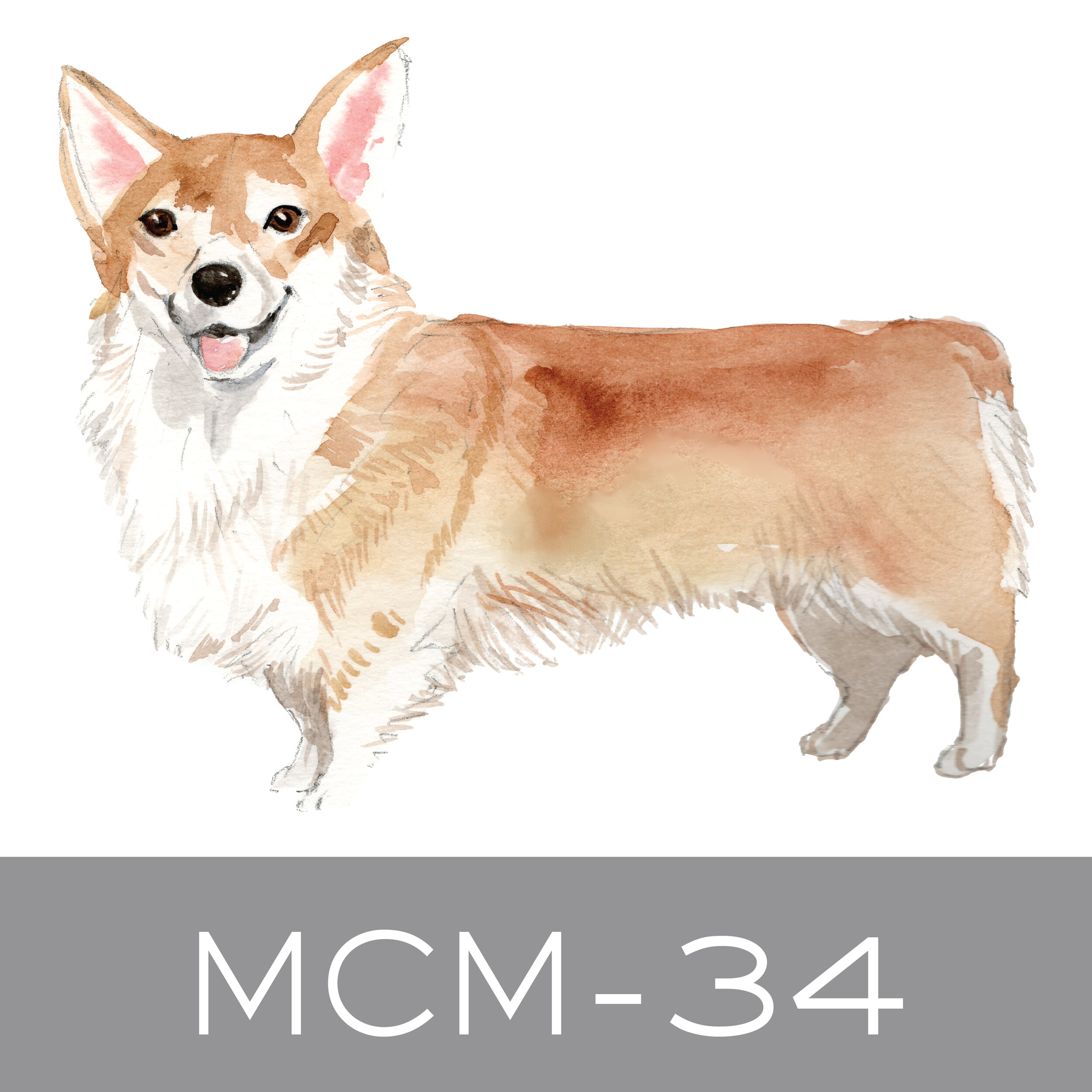 MCM-34.jpg