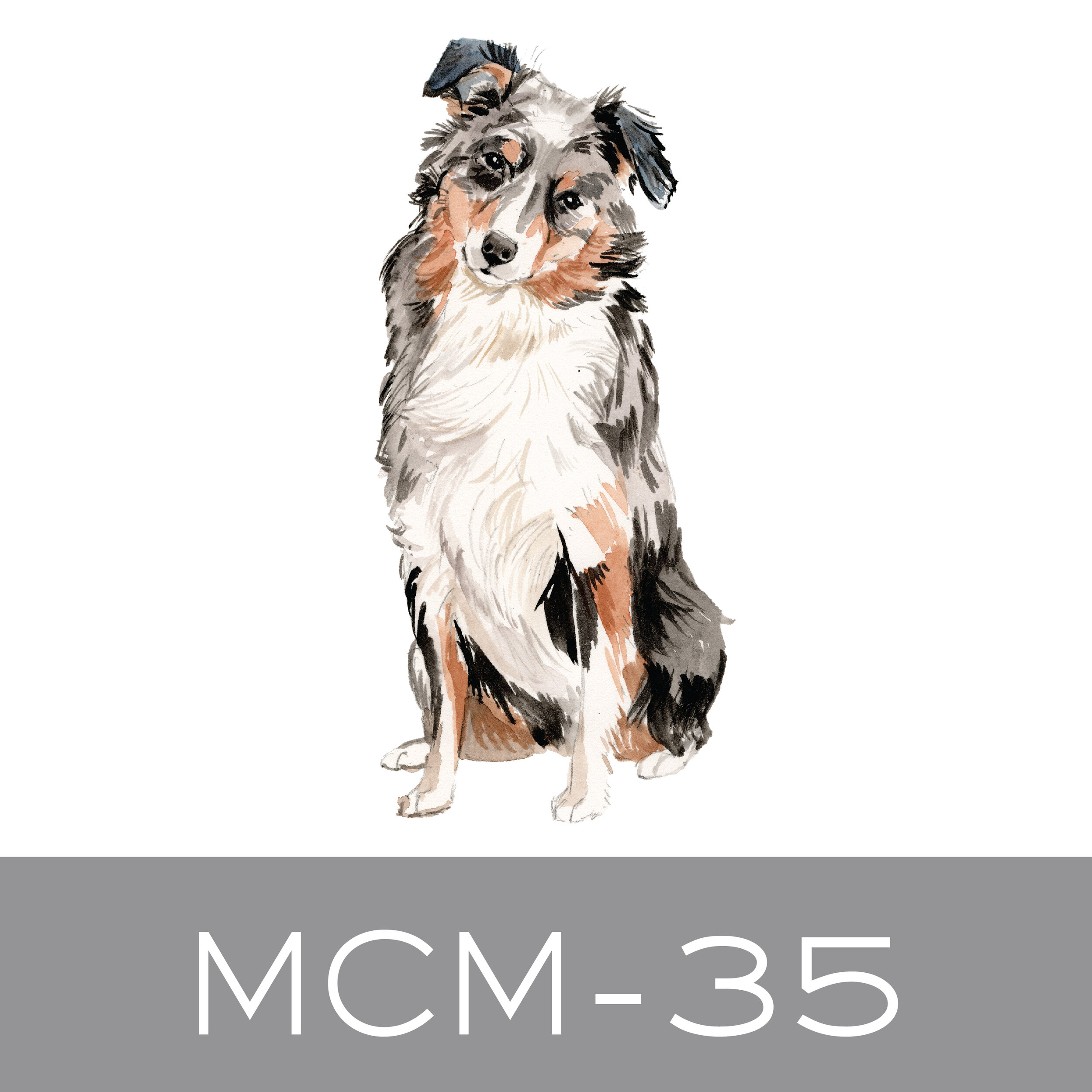 MCM-35.jpg