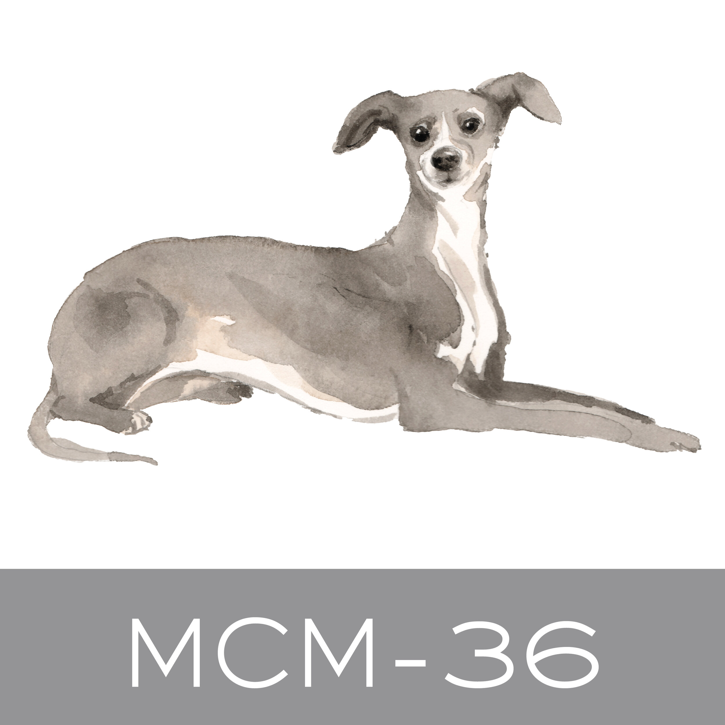 MCM-36.jpg