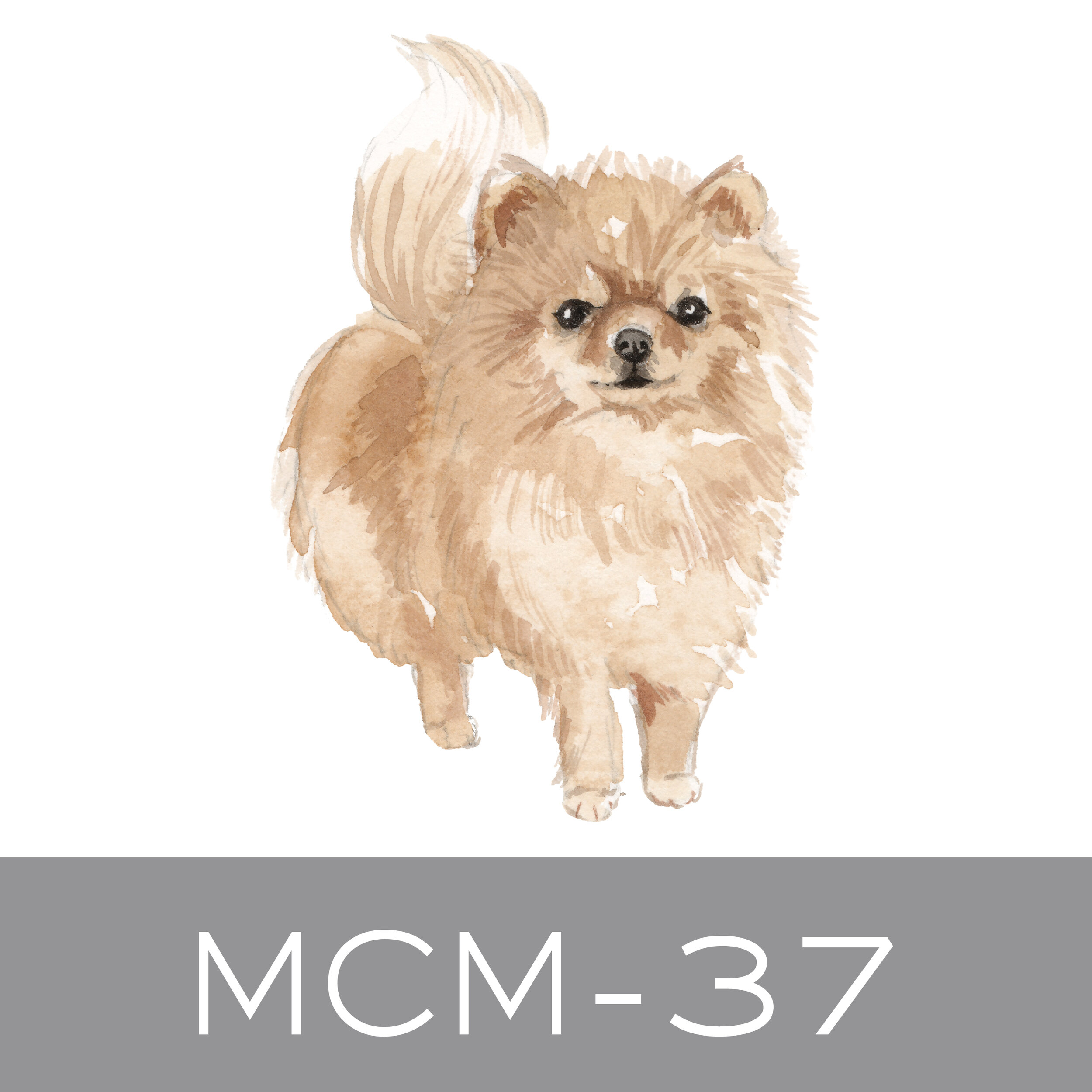 MCM-37.jpg