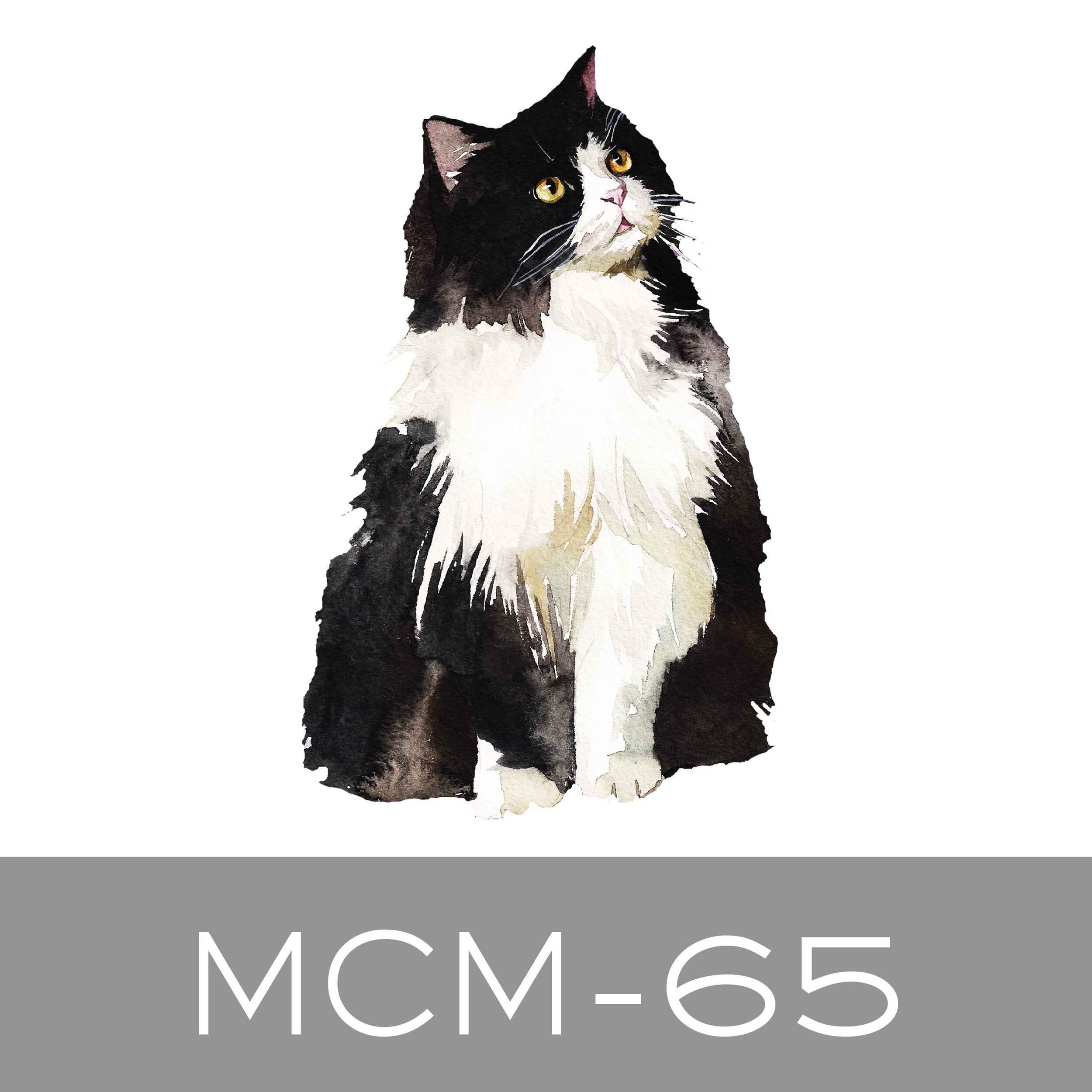 MCM-65.jpg